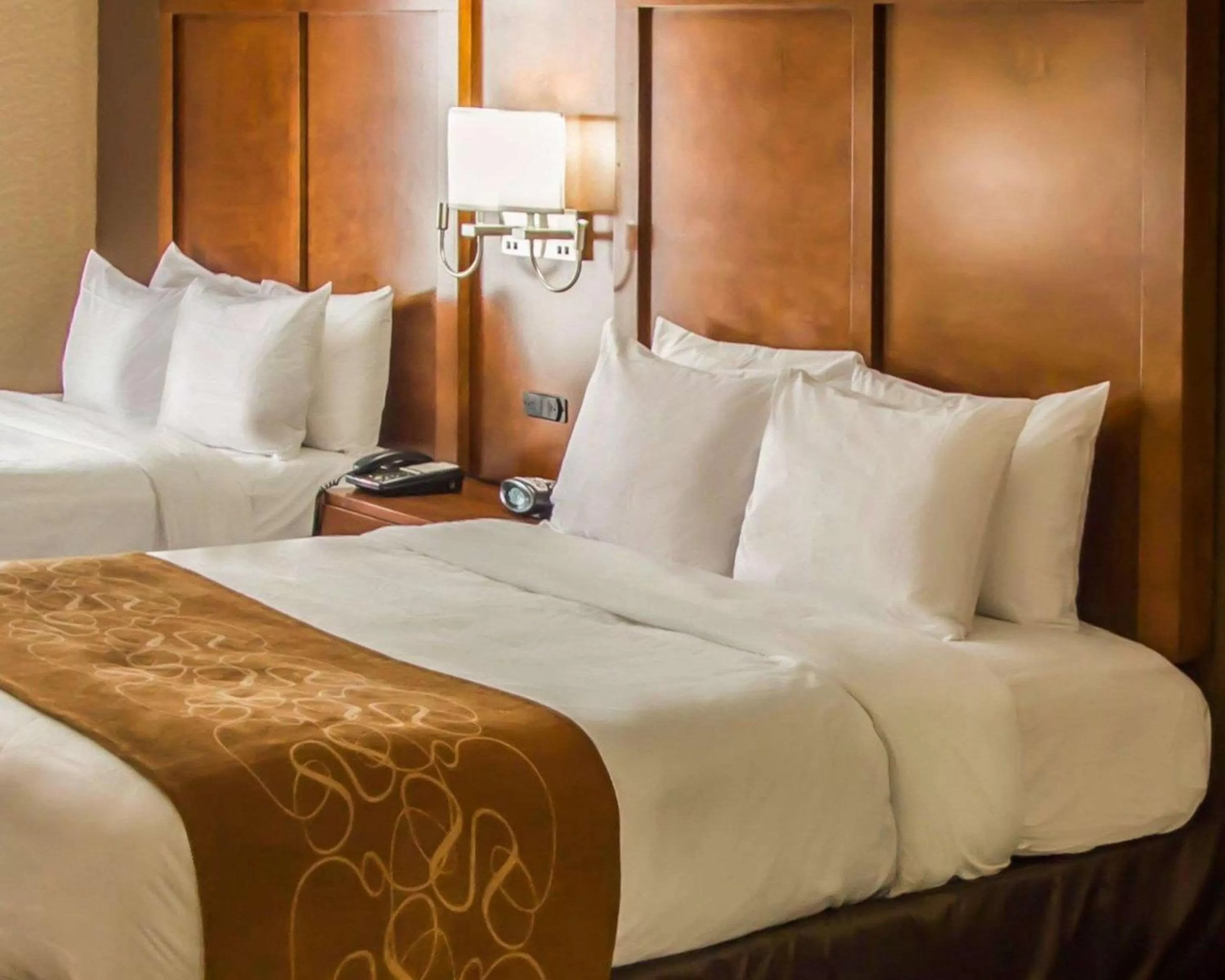 Photo of the whole room in Quality Suites NYC Gateway