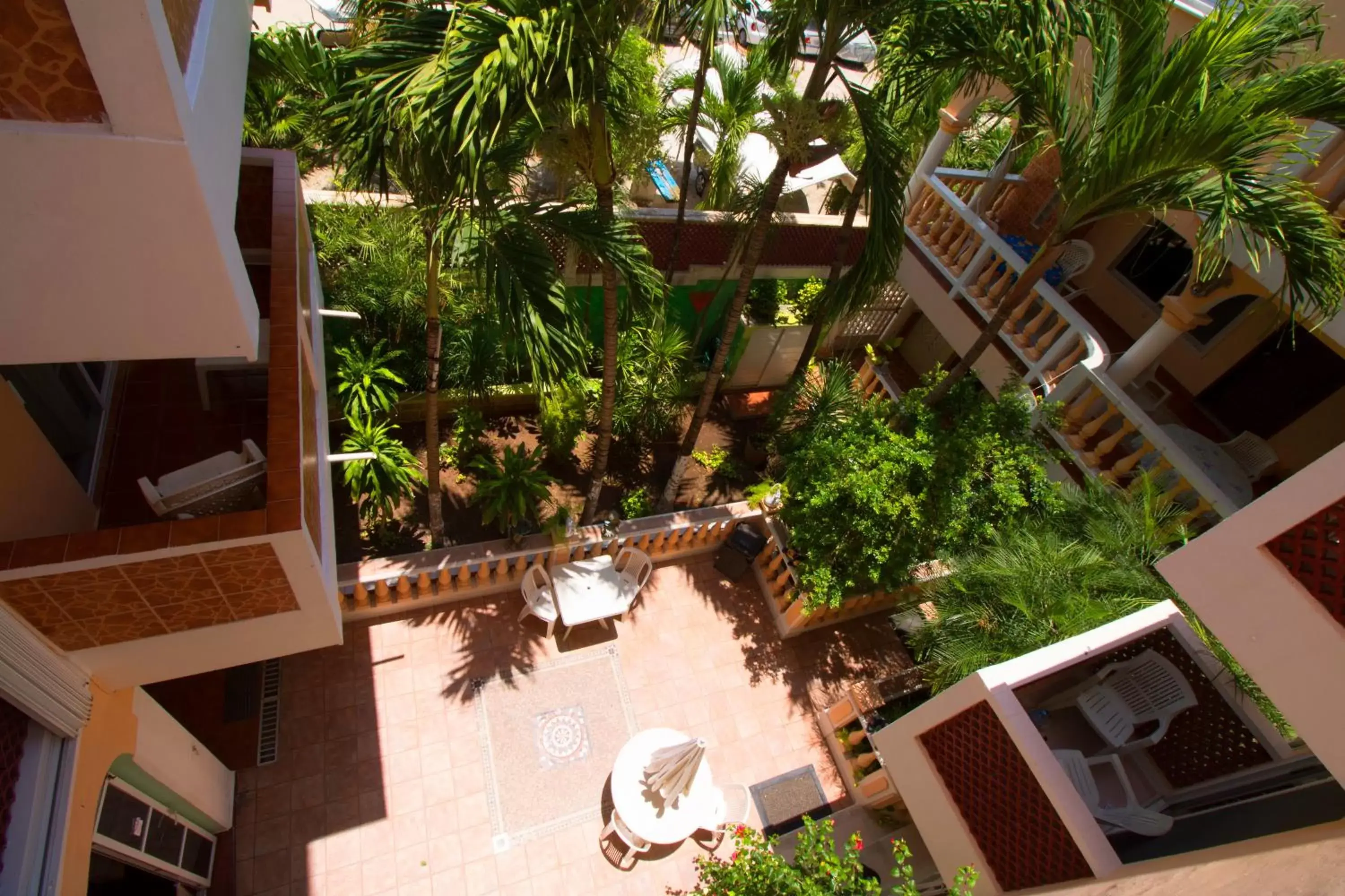 Balcony/Terrace, Pool View in Hotel Francis Arlene Adults Only