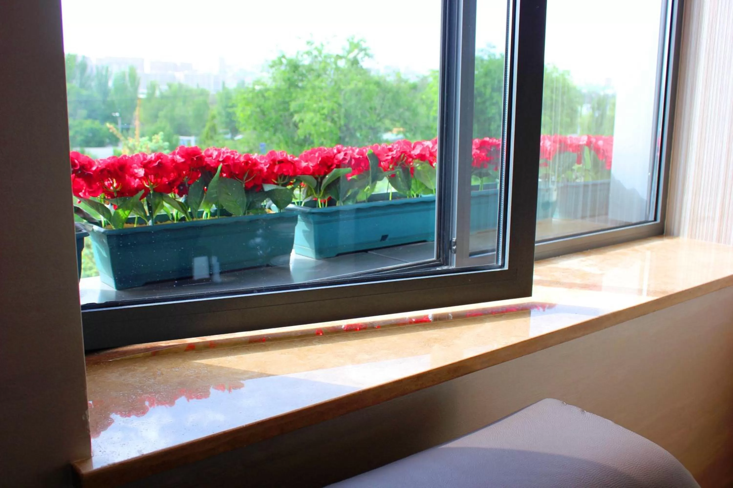 Balcony/Terrace in Avan Plaza Hotel