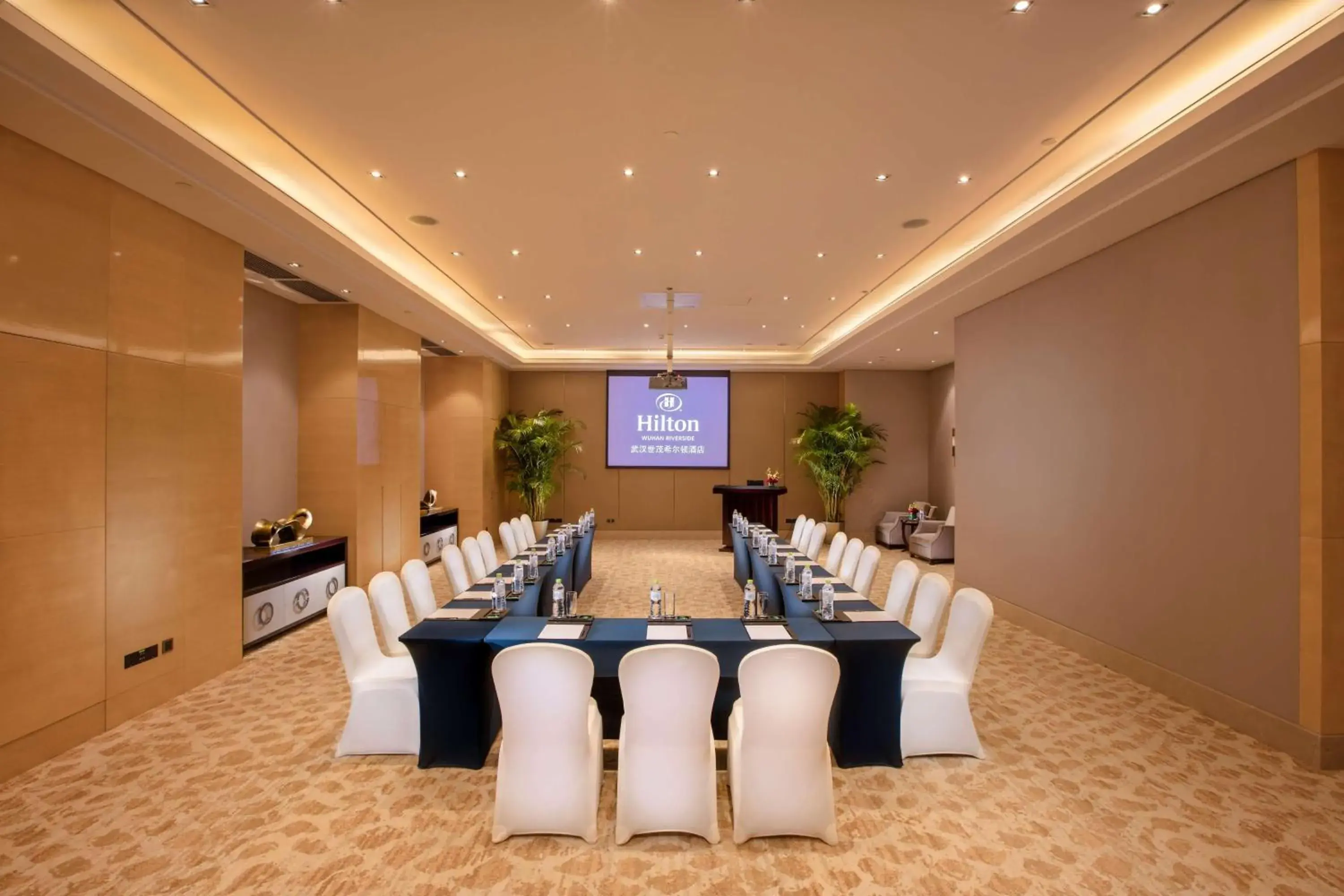 Meeting/conference room in Hilton Wuhan Riverside