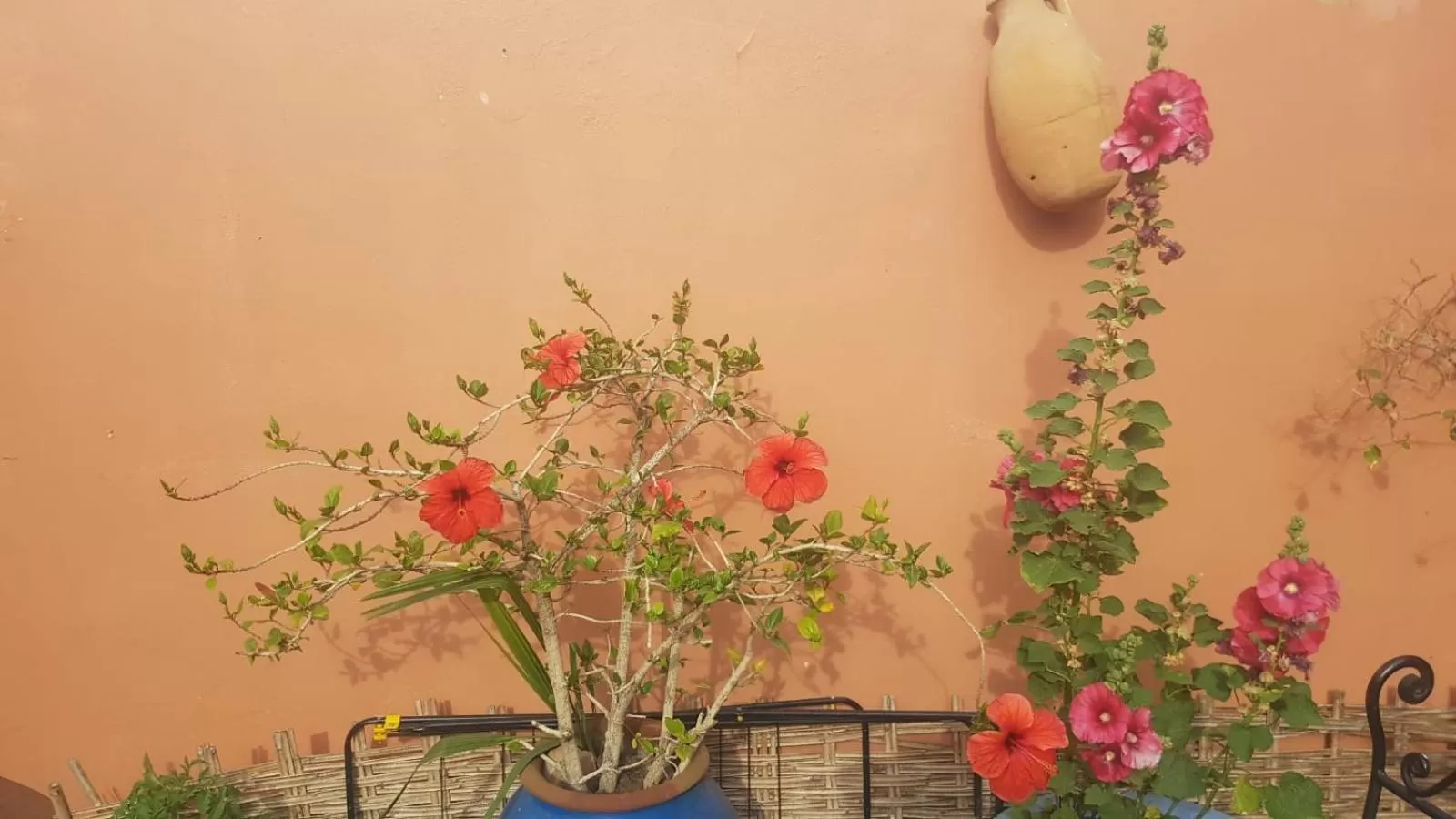 Decorative detail in Chambres d'Hôtes les amis