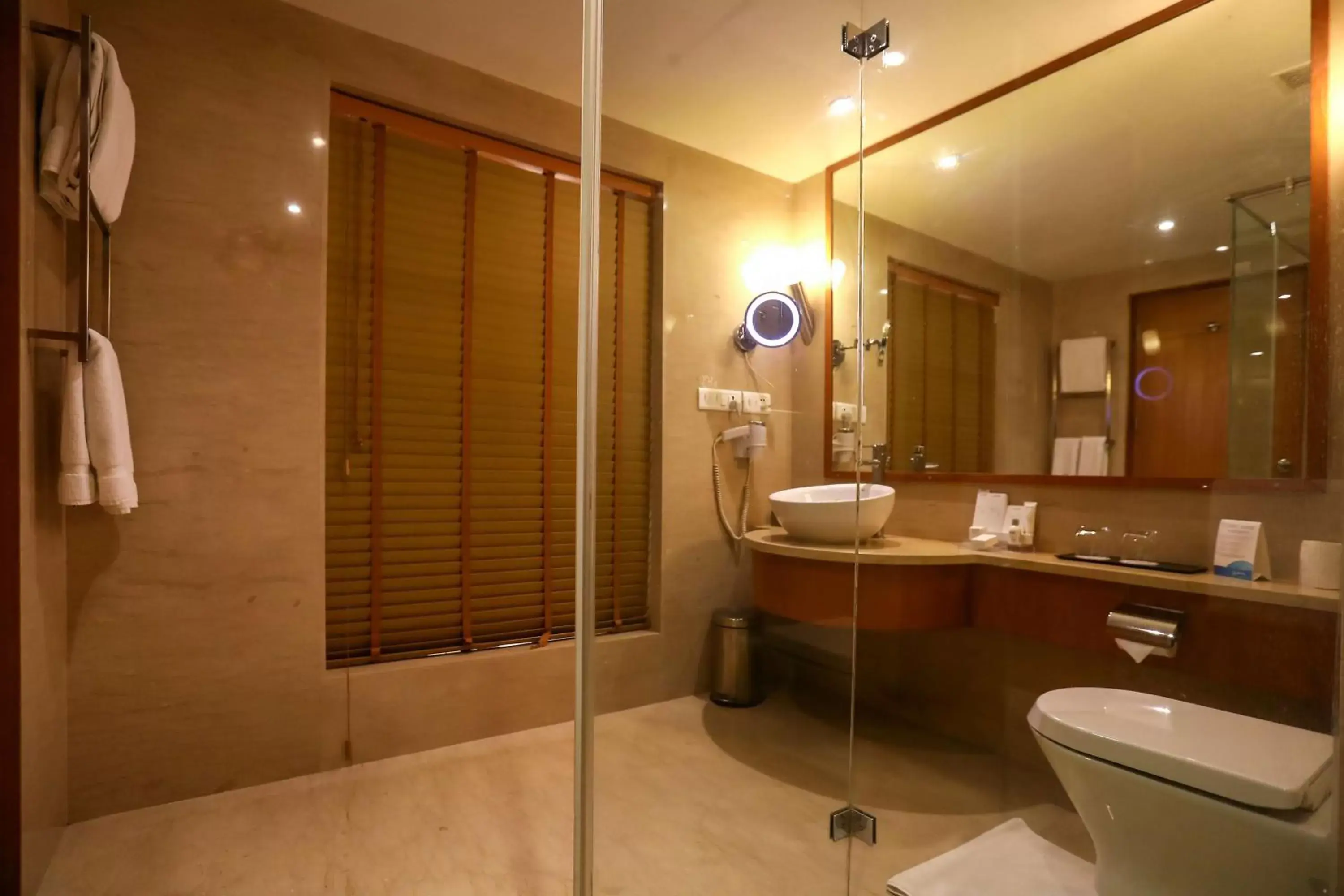 Photo of the whole room, Bathroom in Radisson Blu Hotel Chennai City Centre