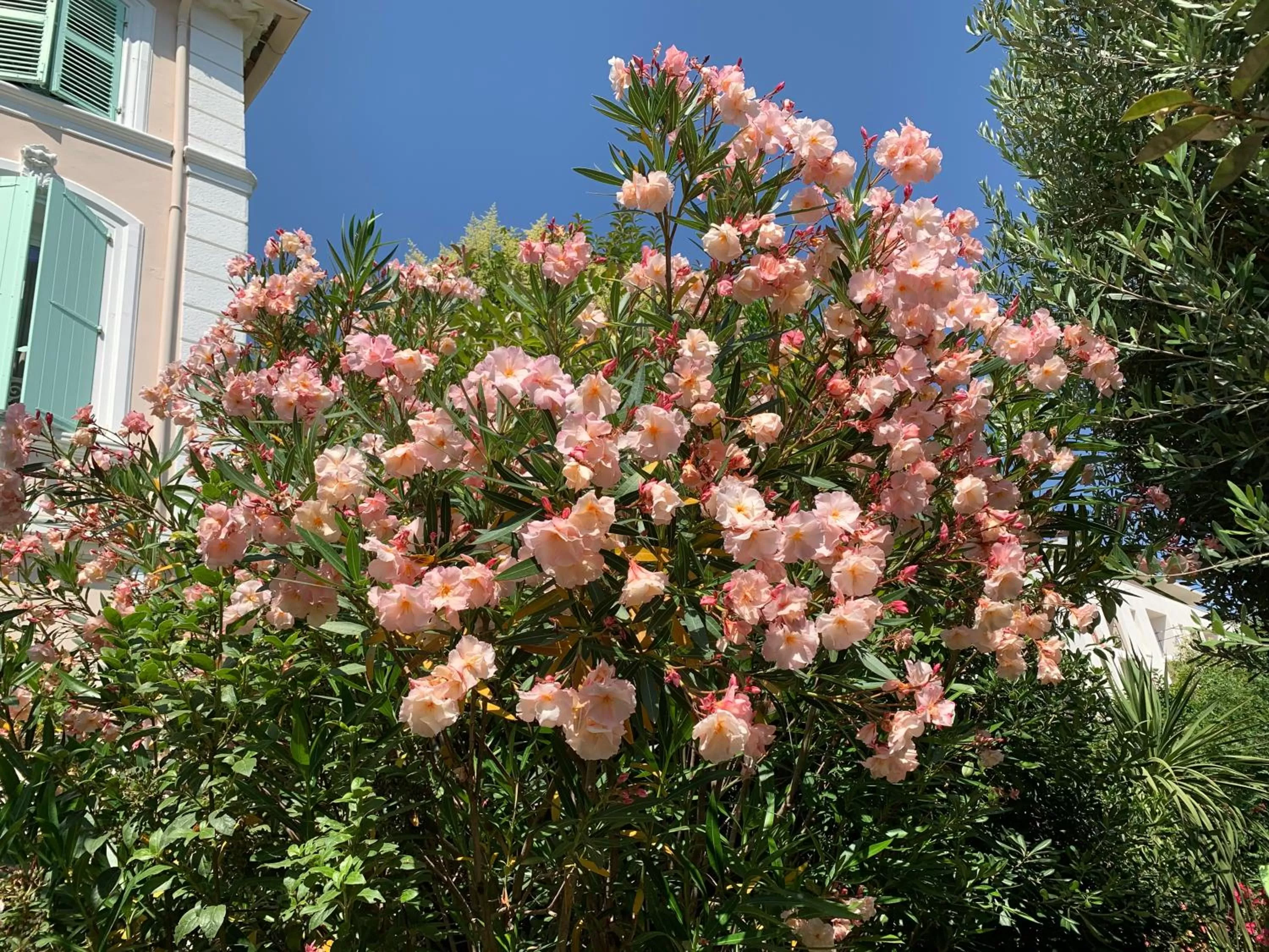Natural landscape in Domaine de l'Aufrene