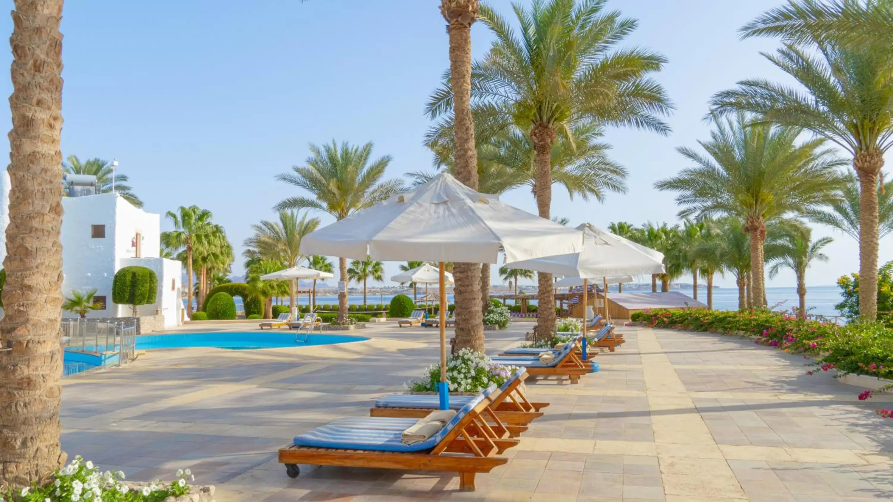 Swimming Pool in Sharm Club Beach Resort