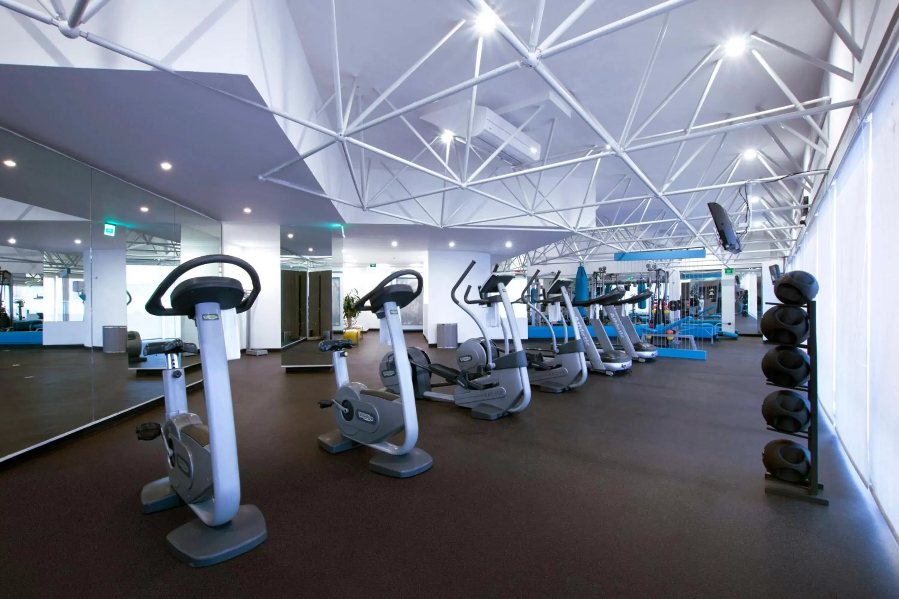 Fitness centre/facilities, Fitness Center/Facilities in Crowne Plaza Hotel Mexico City North-Tlalnepantla, an IHG Hotel