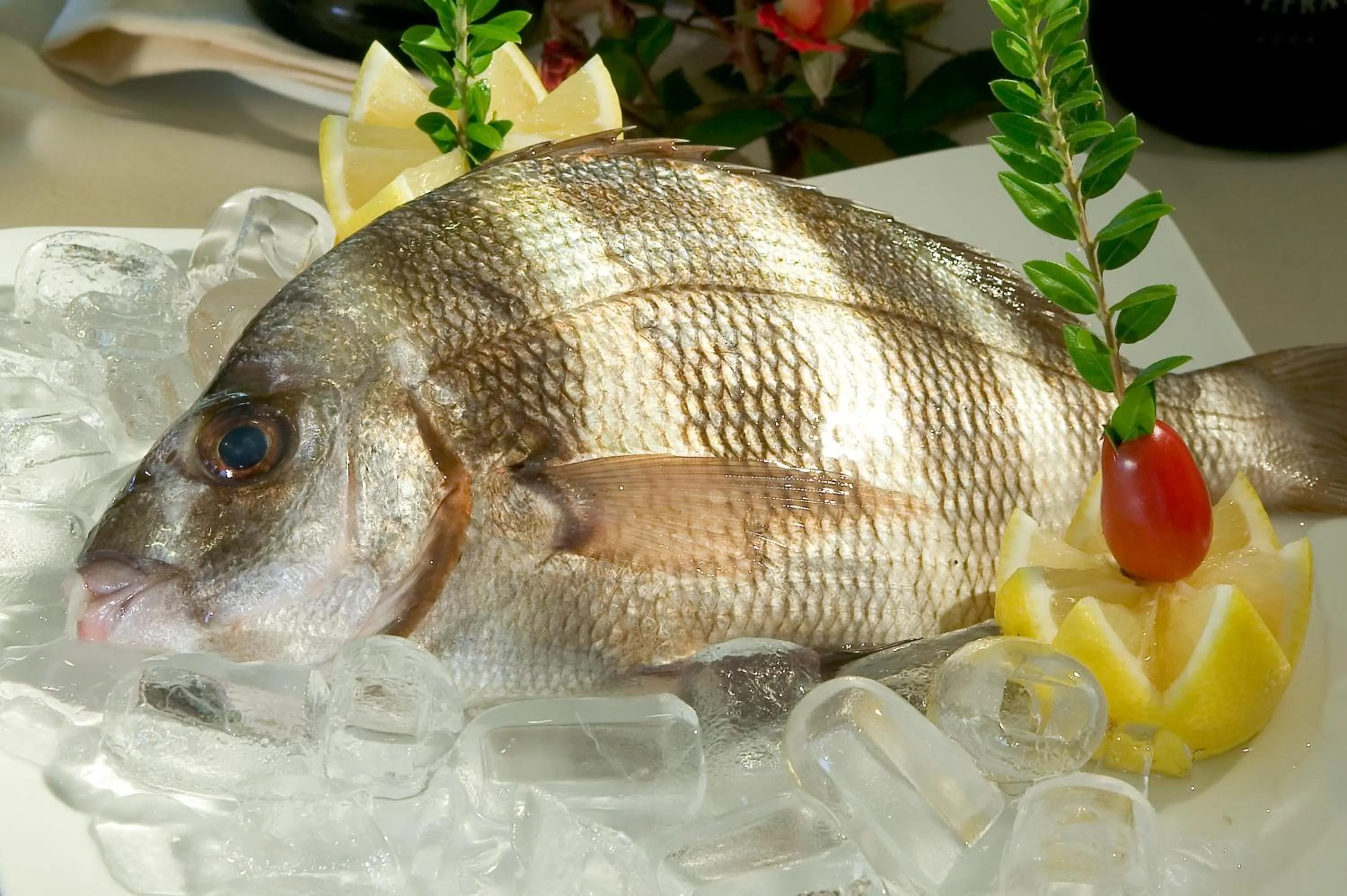 Property building in Hotel La Rondine