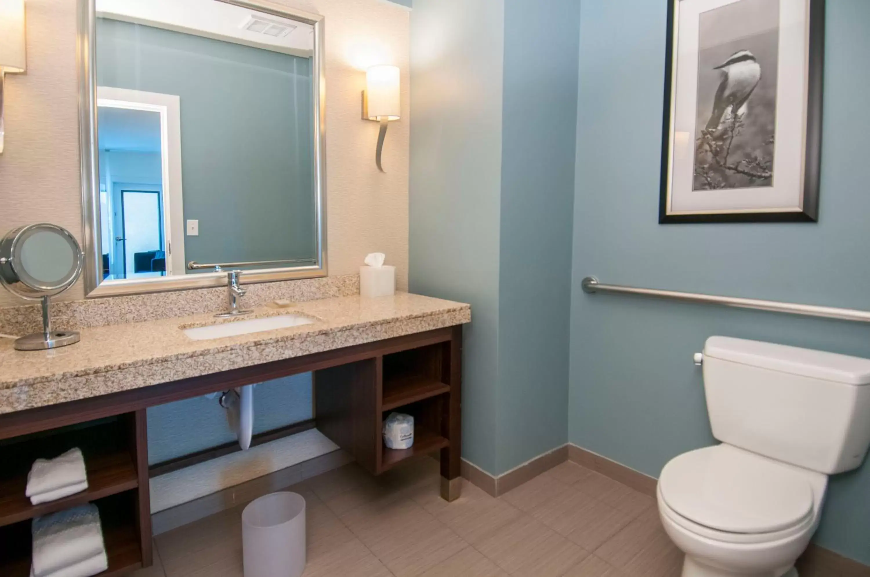 Photo of the whole room, Bathroom in Hotel Indigo Waco, an IHG Hotel