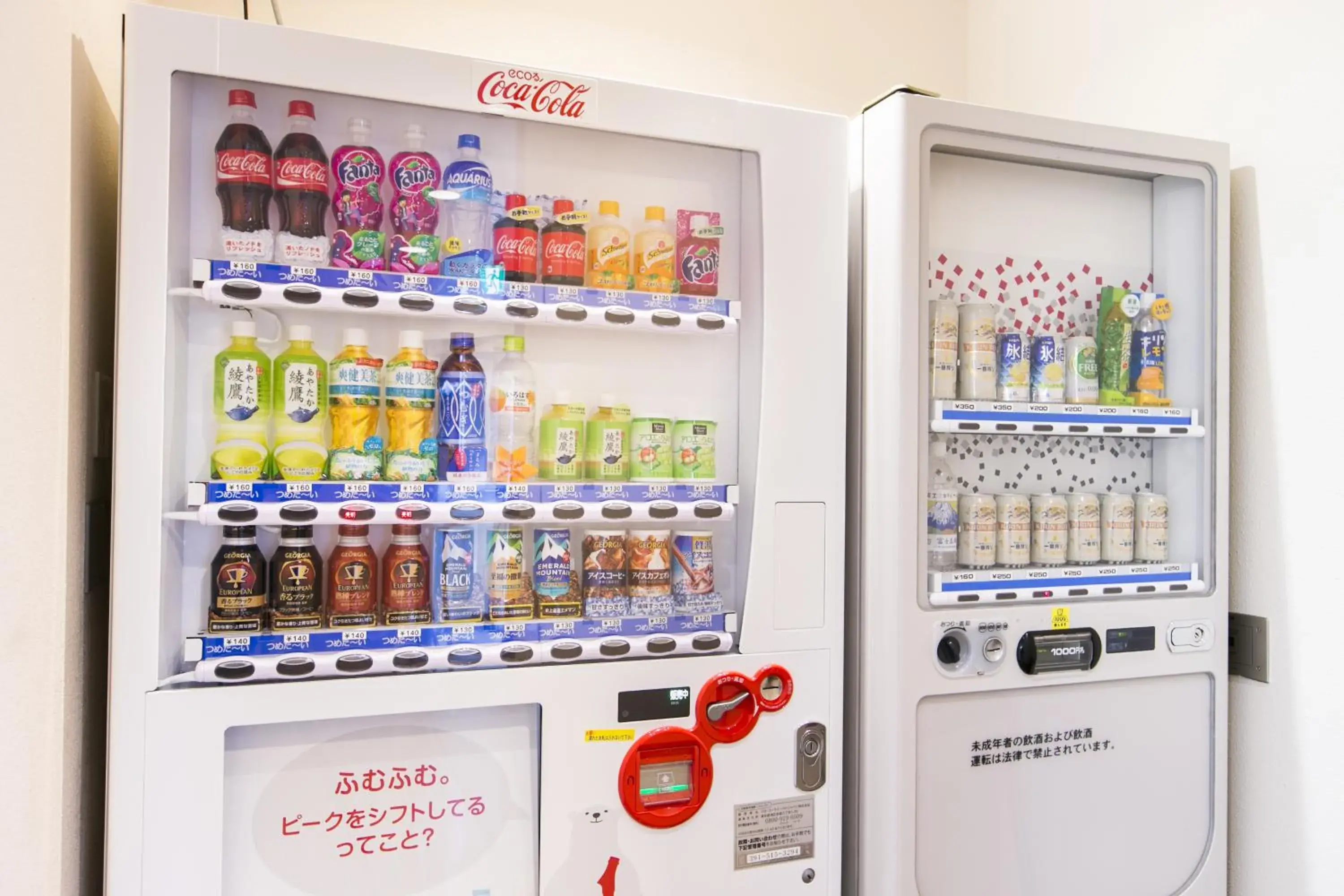 Other, Supermarket/Shops in Fujisan Station Hotel