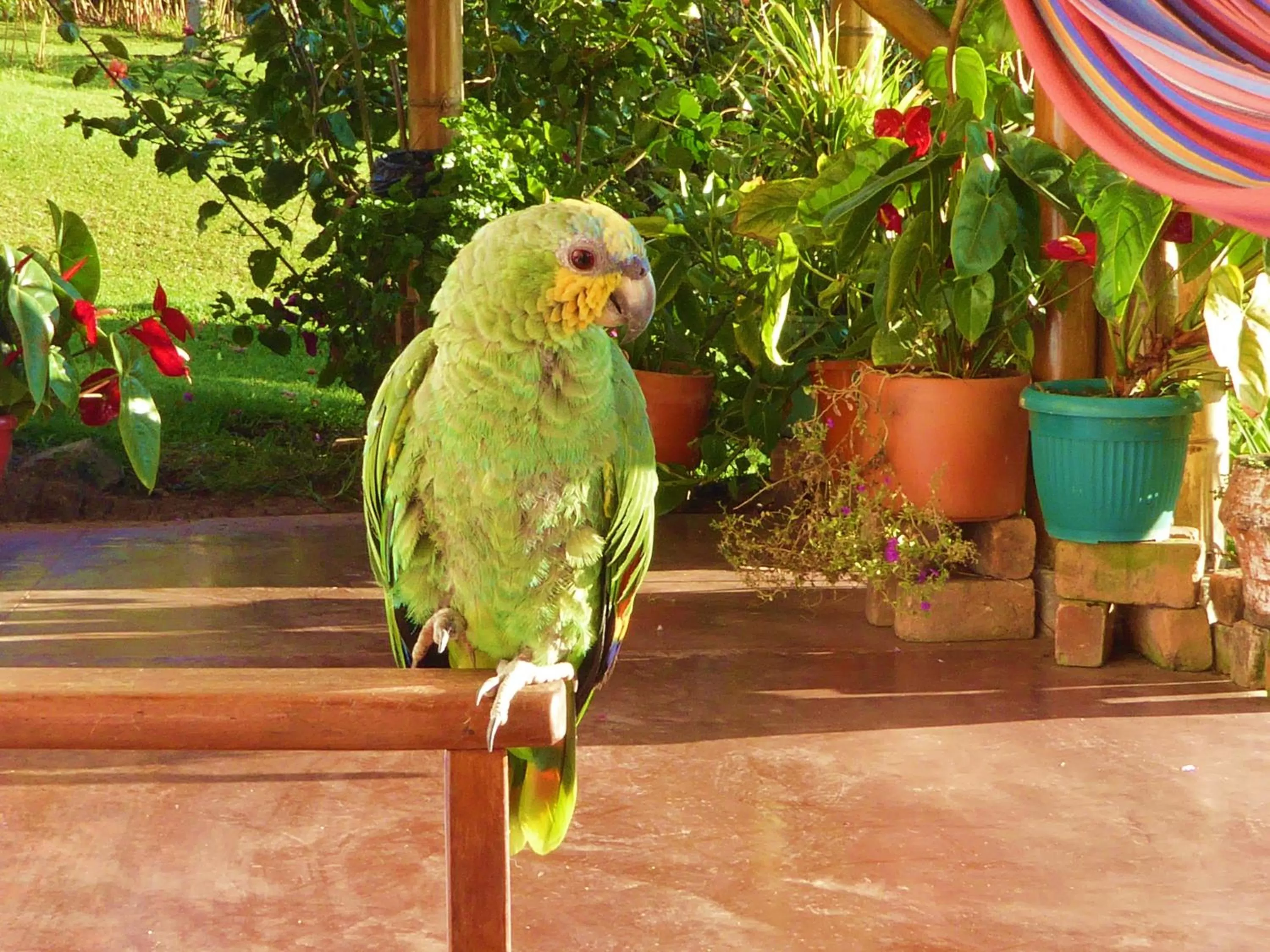 Area and facilities in Finca El Cielo