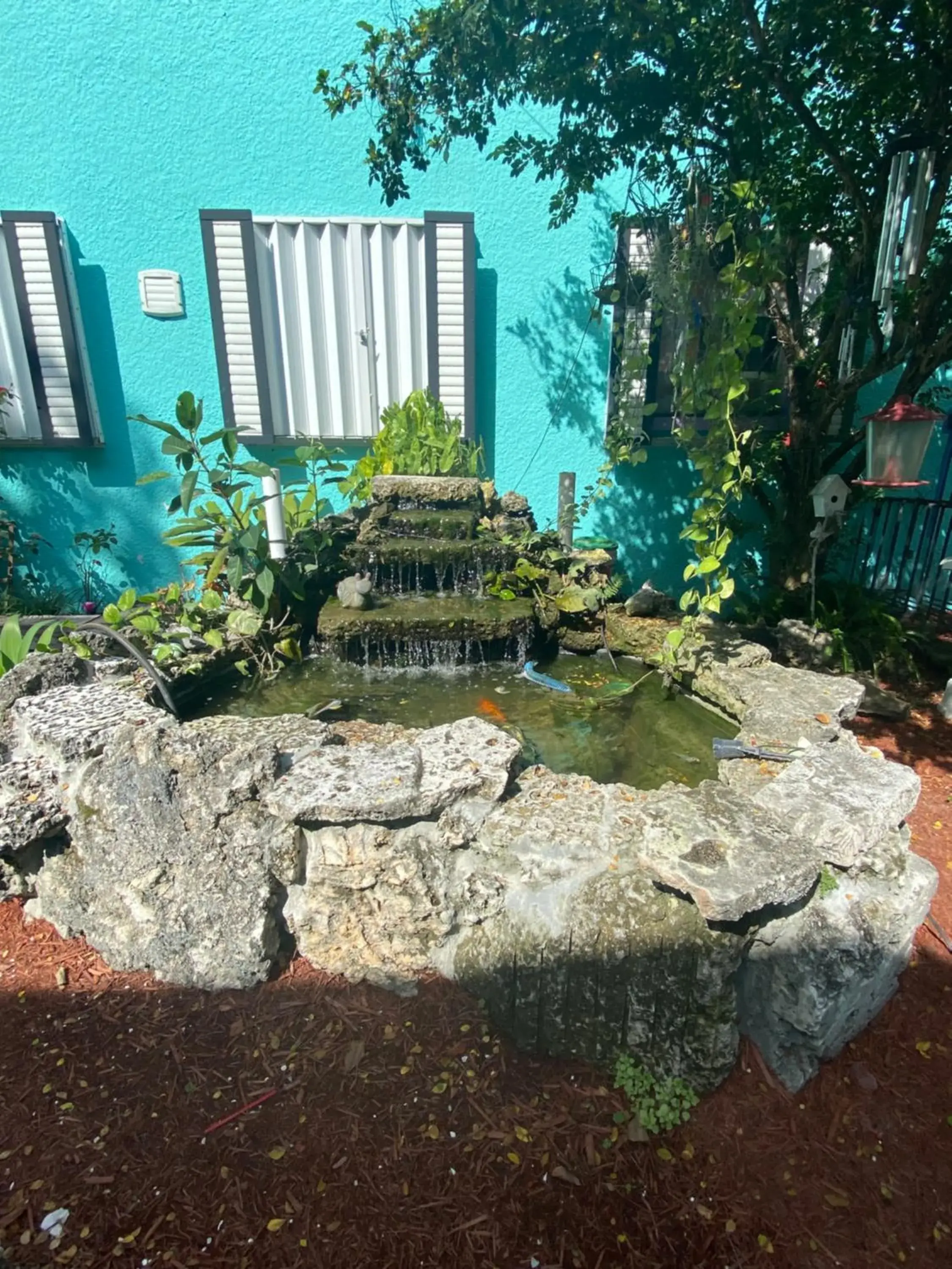 Garden in Hoosville Hostel (Formerly The Everglades Hostel)