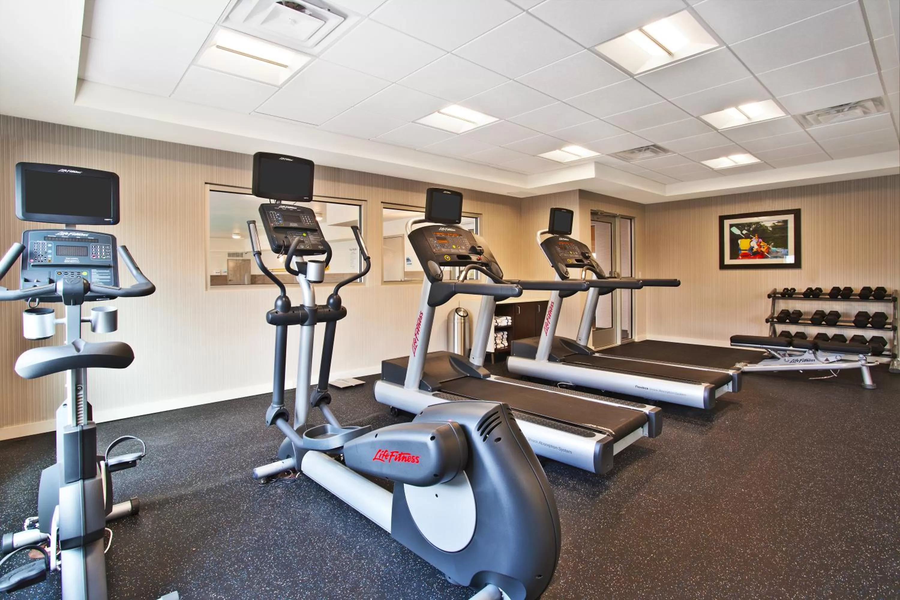 Fitness centre/facilities in Holiday Inn Express Hotel & Suites Ann Arbor West by IHG