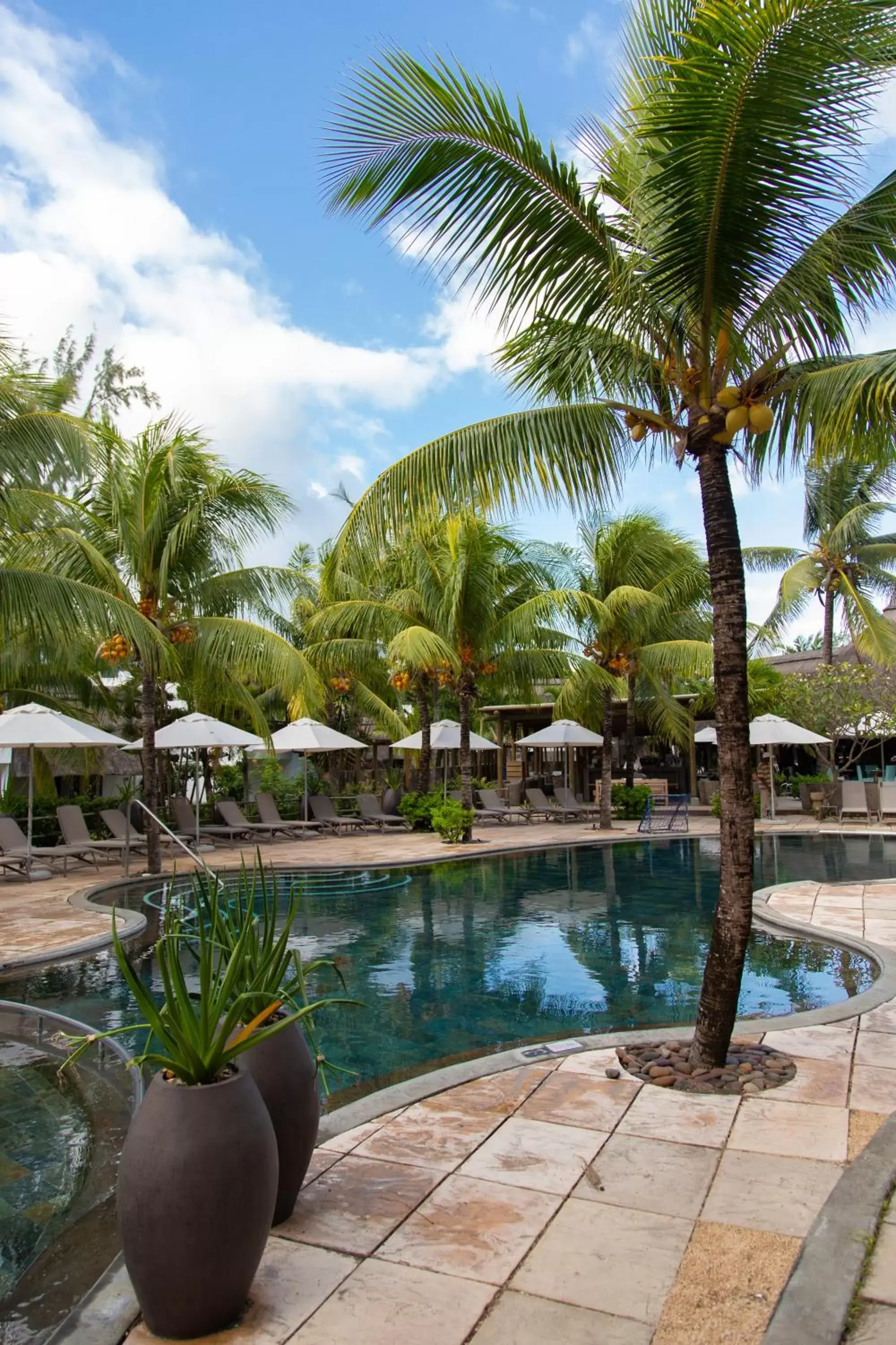 Swimming Pool in Coin de Mire Attitude