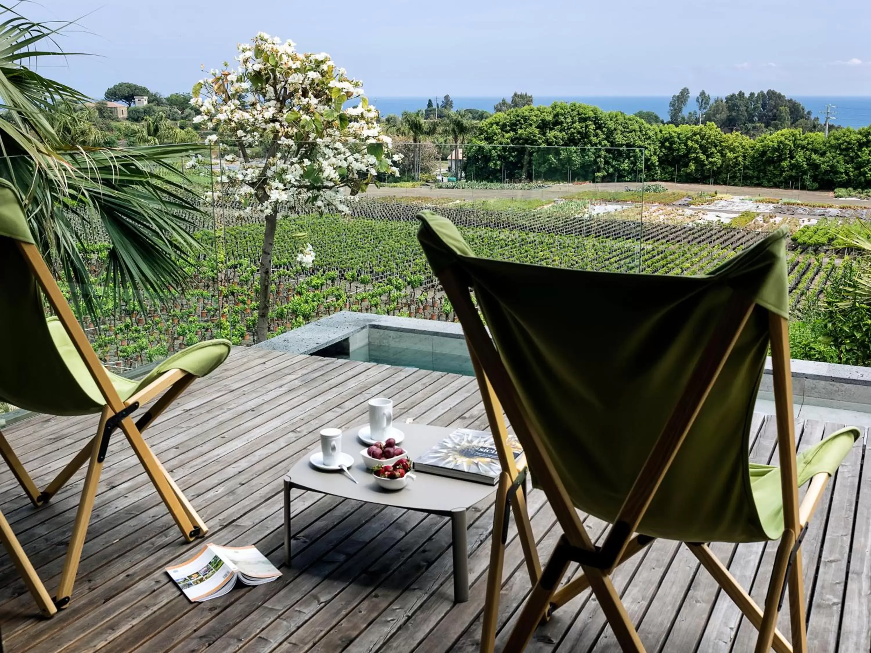 Patio, Balcony/Terrace in Donna Carmela Resort & Lodges