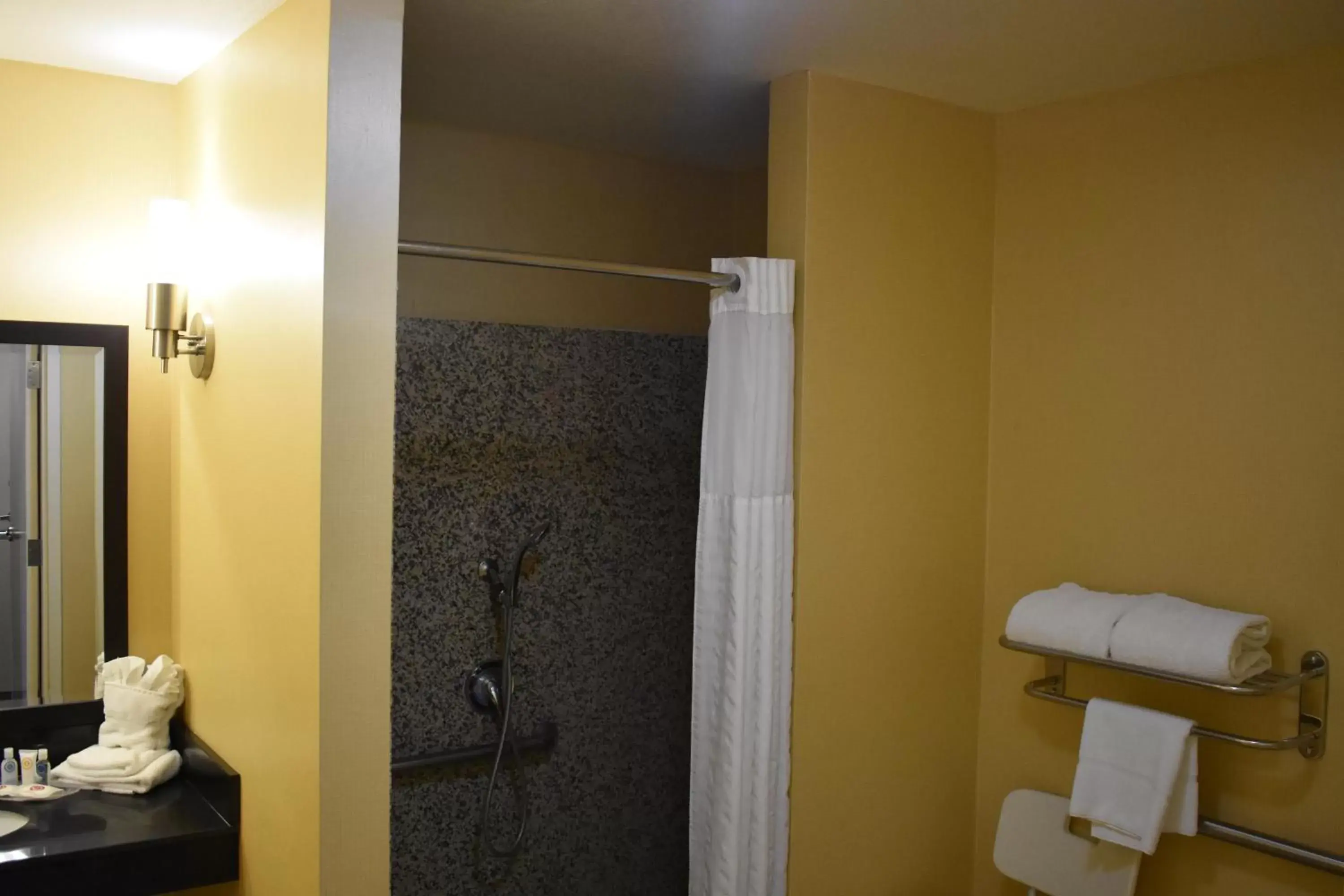 Shower, Bathroom in Comfort Suites Blythe