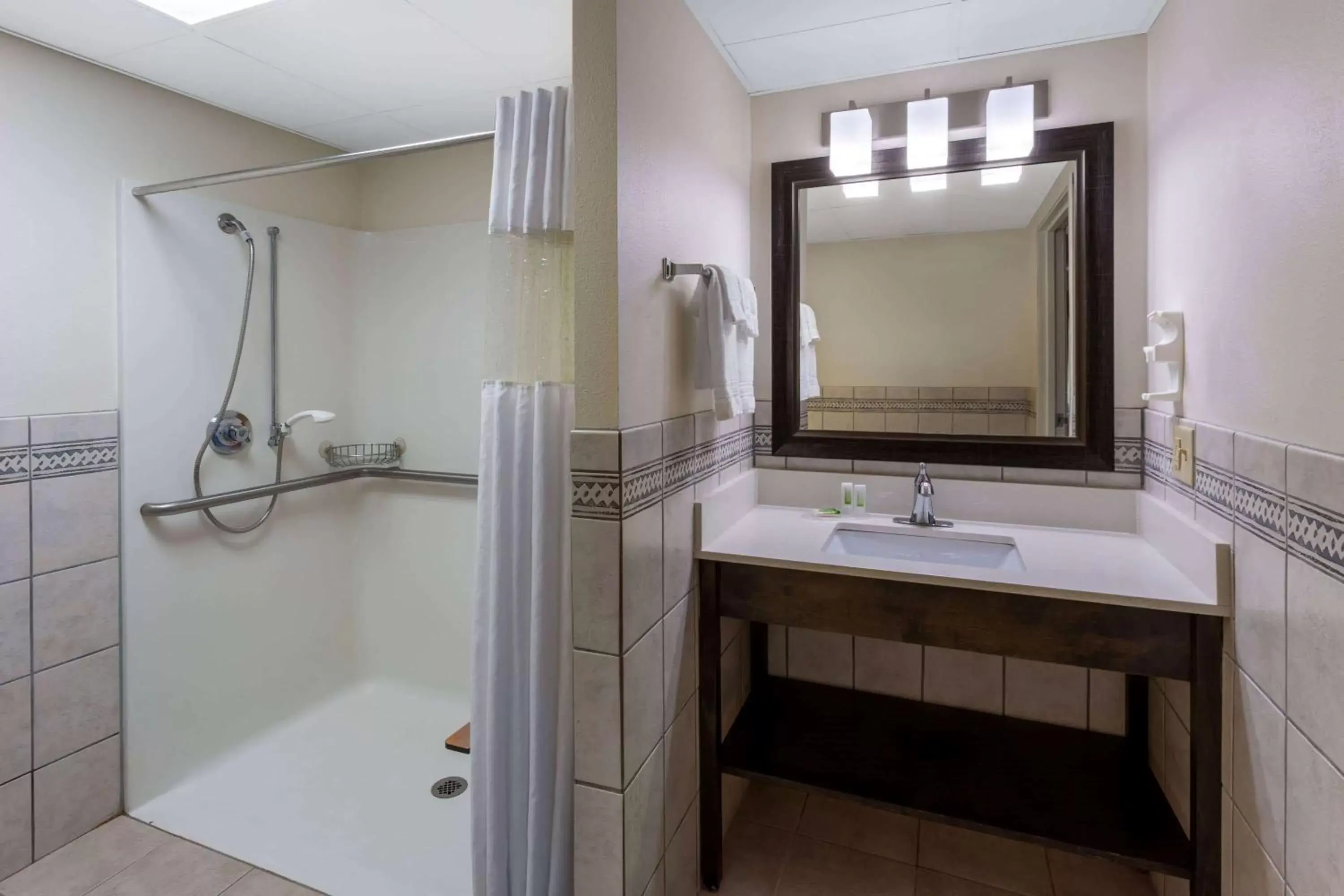 Shower, Bathroom in AmericInn by Wyndham Wausau