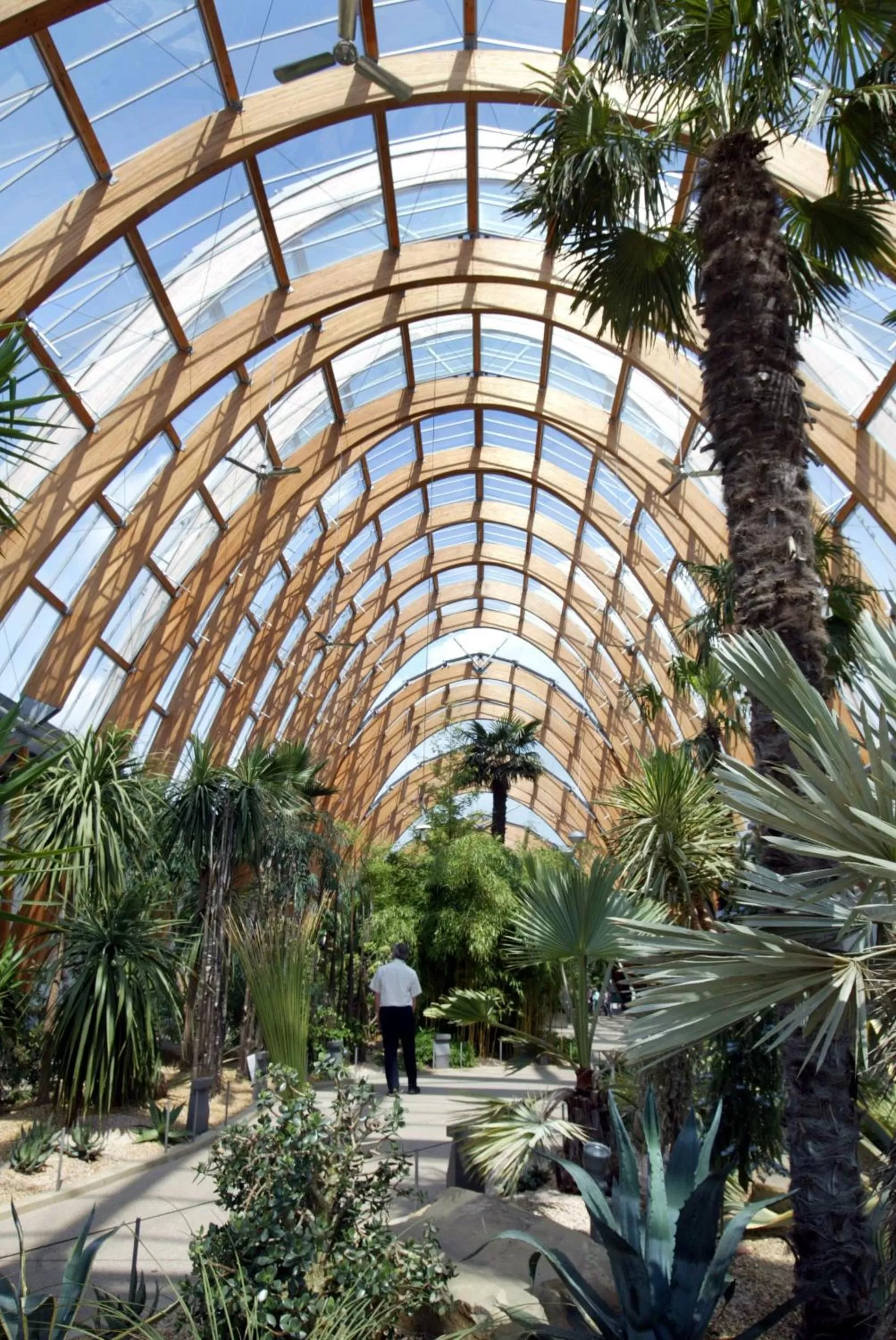 Garden in Mercure Sheffield St Paul's Hotel & Spa