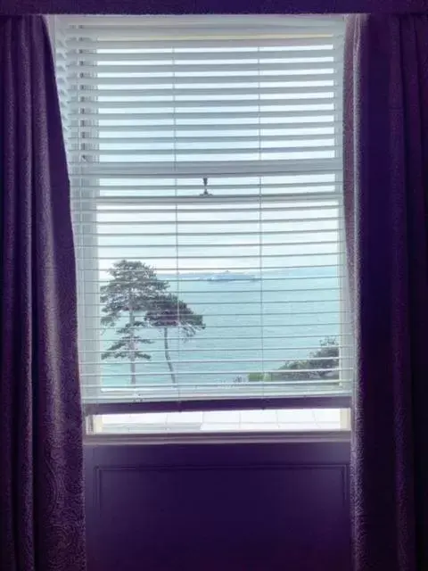 Sea view in The Osborne Hotel