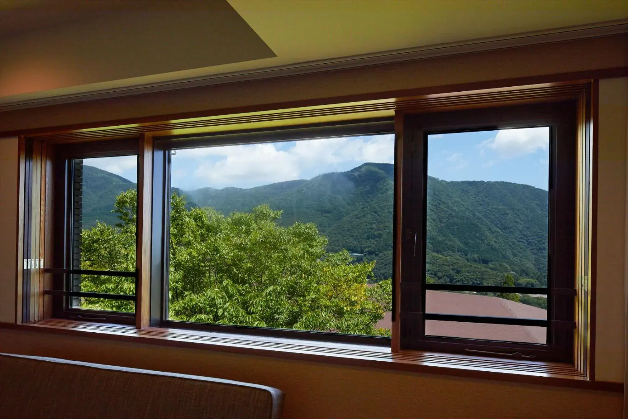 Mountain View in Hakone Yutowa