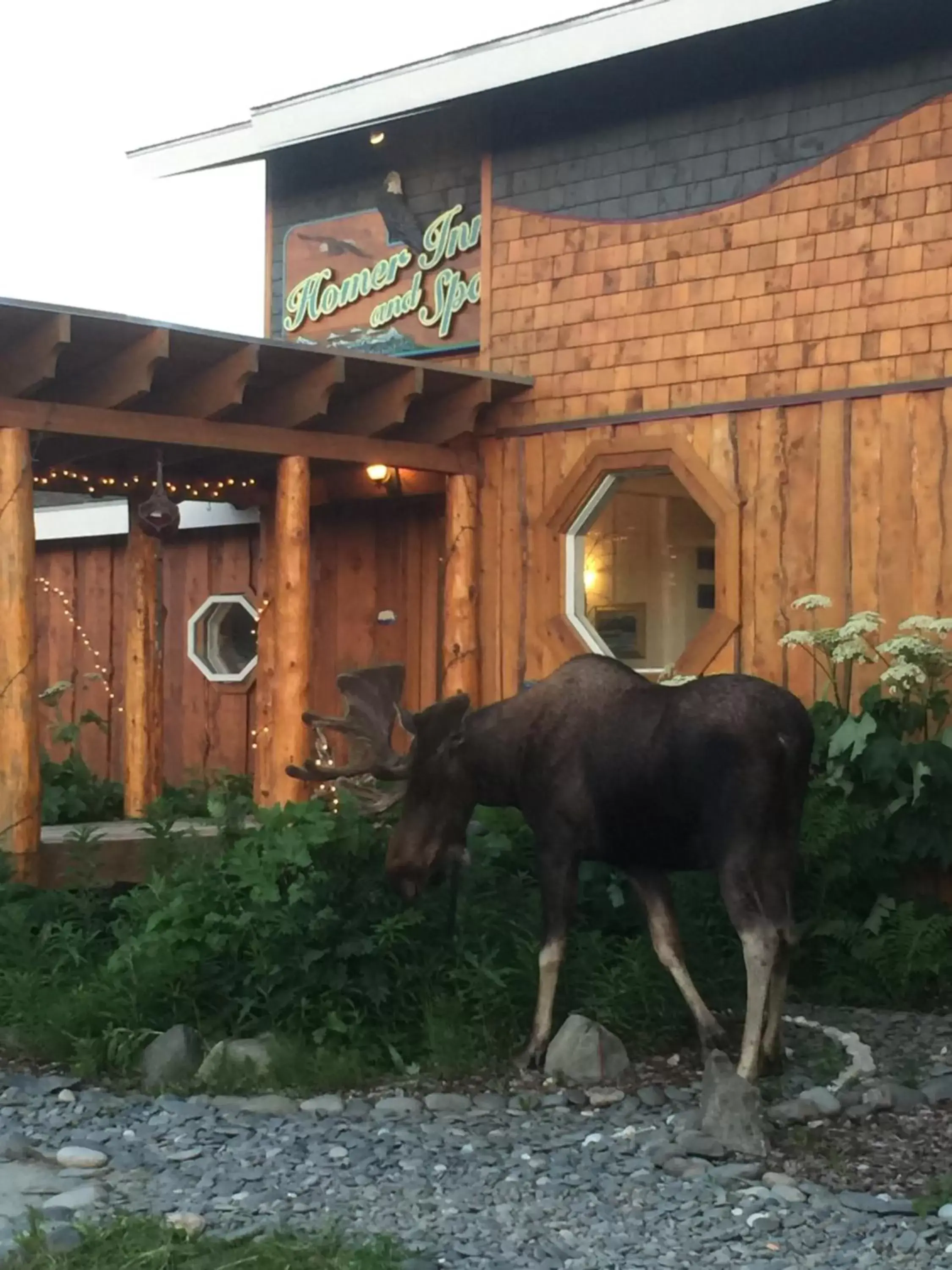 Property building, Other Animals in Homer Inn & Spa