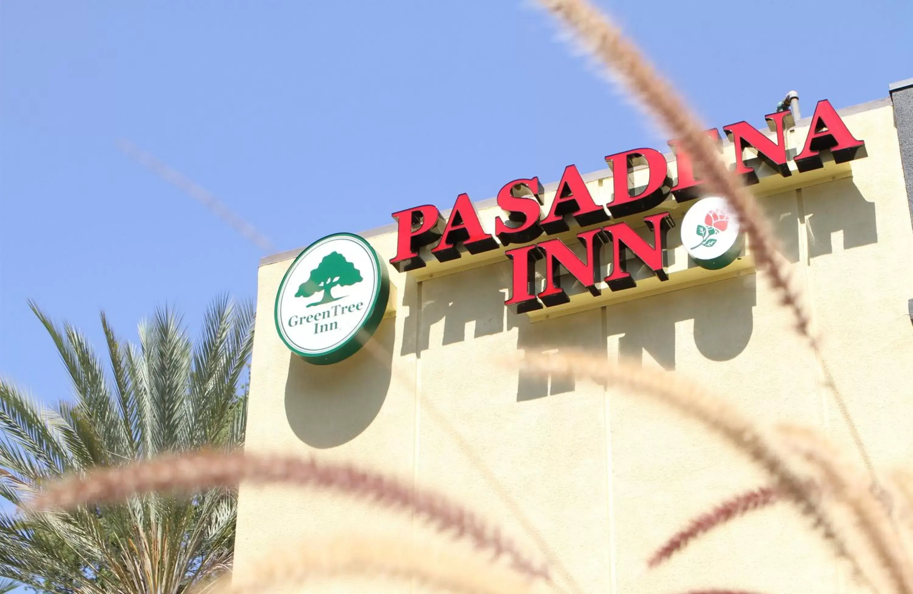 Day in GreenTree Pasadena Day in GreenTree Pasadena