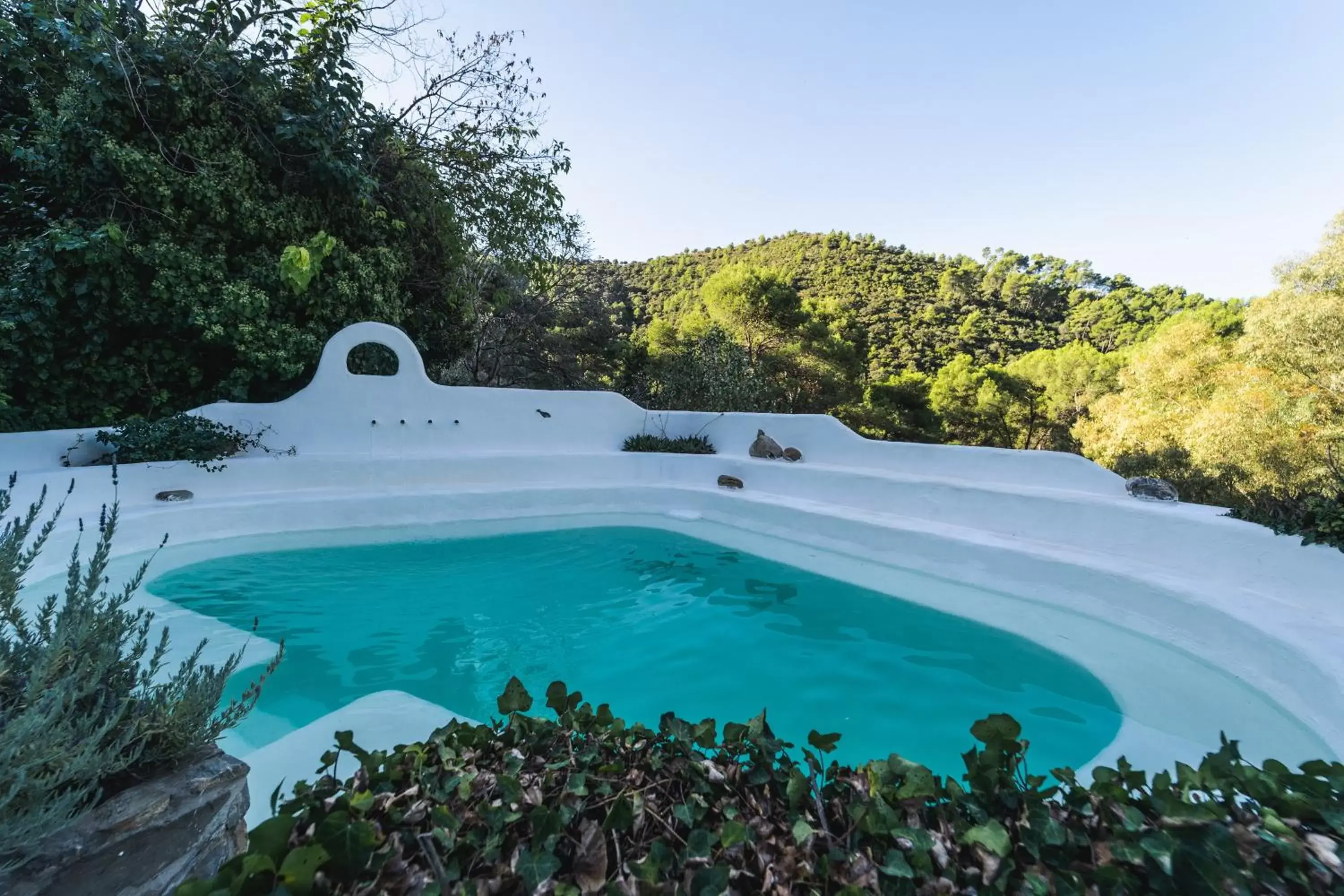 Natural landscape, Swimming Pool in Hotel Humaina