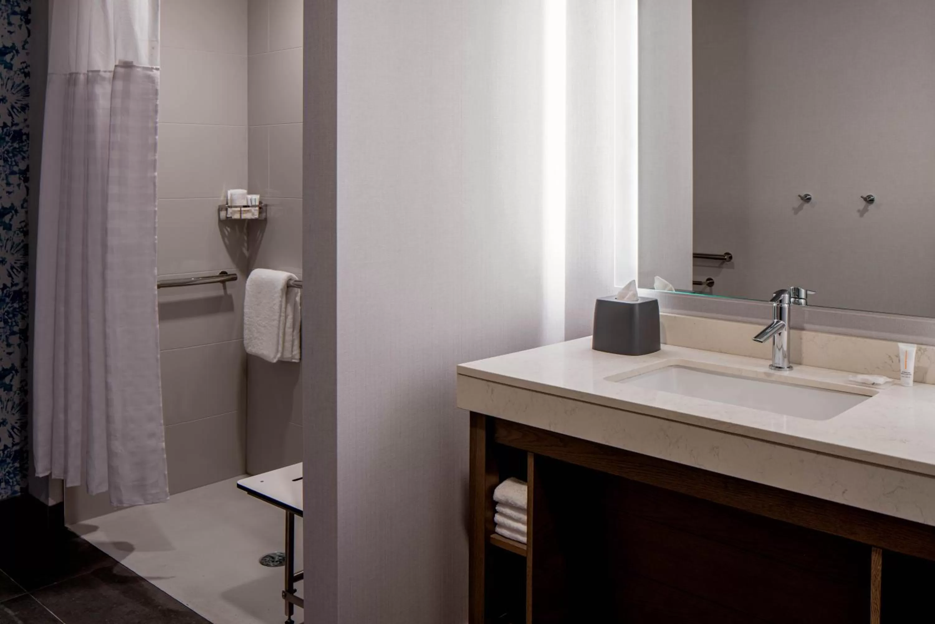 King Room with View and Roll-In Shower - Disability Access in Hyatt Place Tampa Downtown