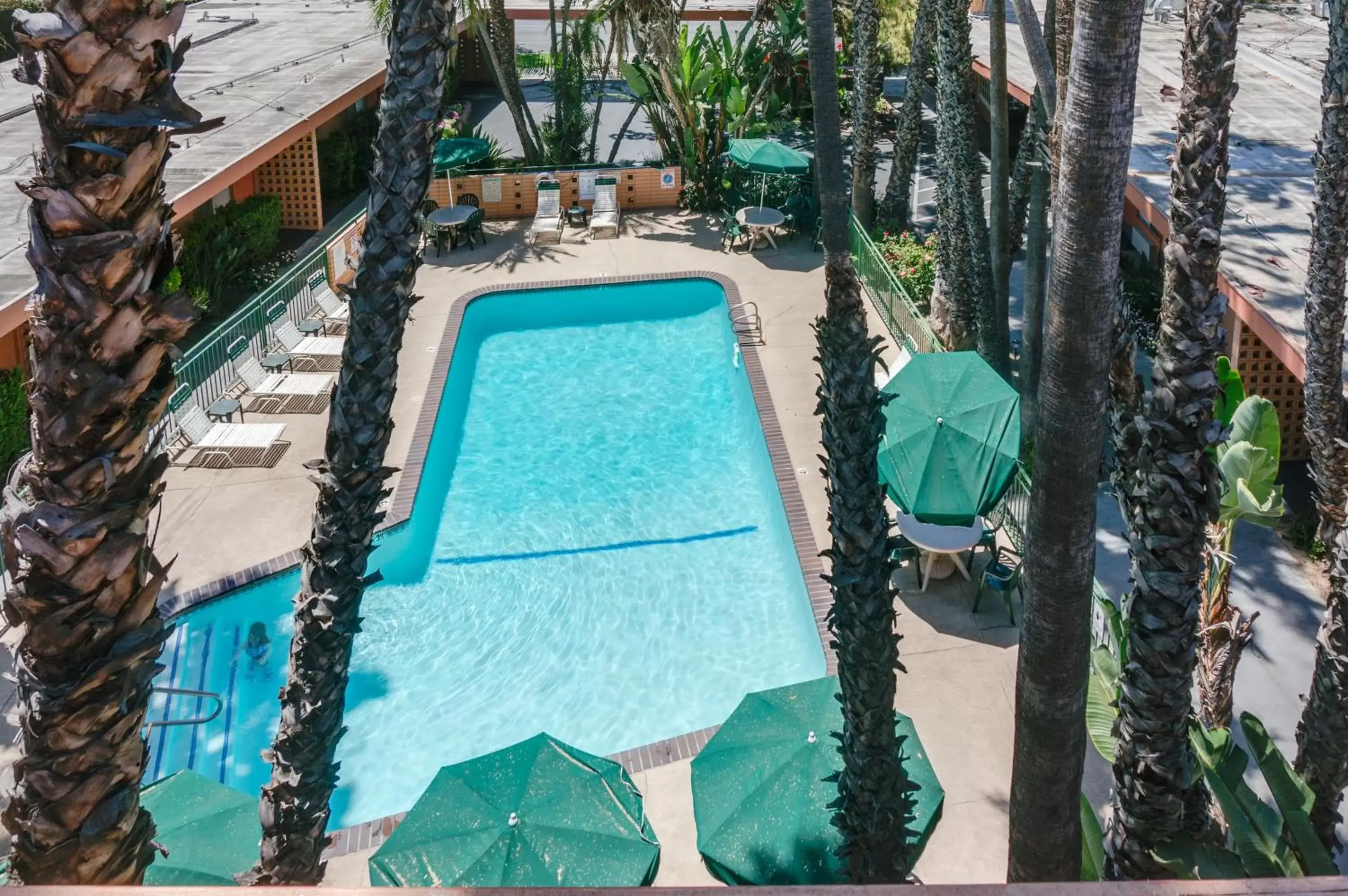 Decorative detail, Pool View in Saga Motor Hotel Pasadena