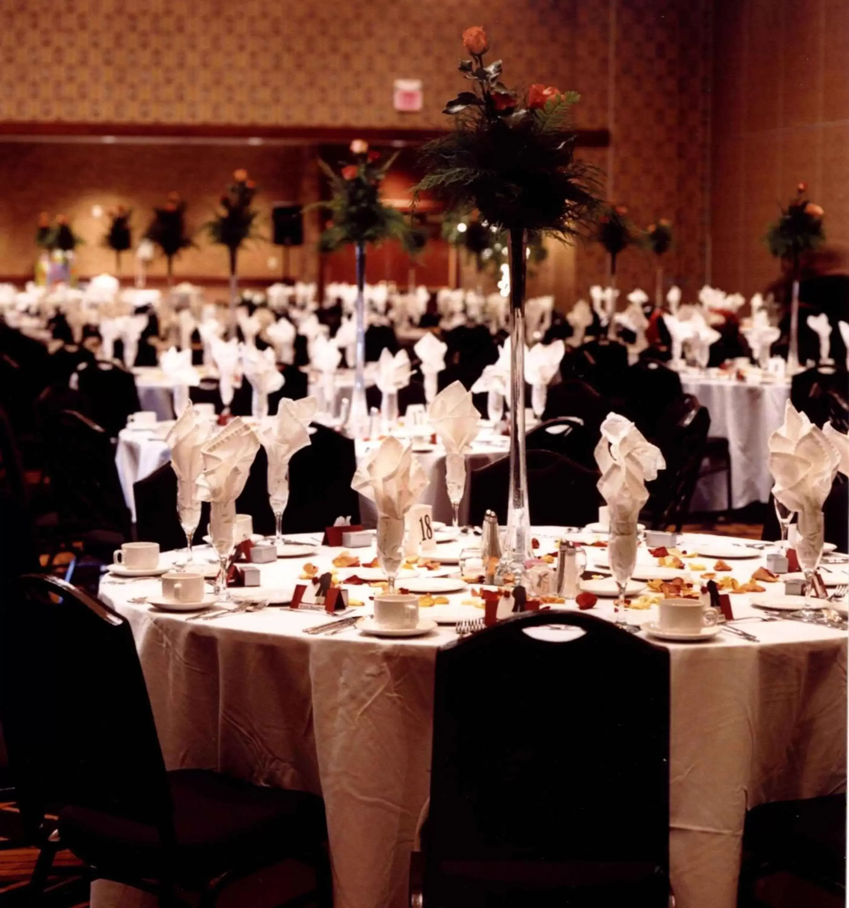 Banquet/Function facilities, Banquet Facilities in Radisson Hotel & Conference Center Green Bay