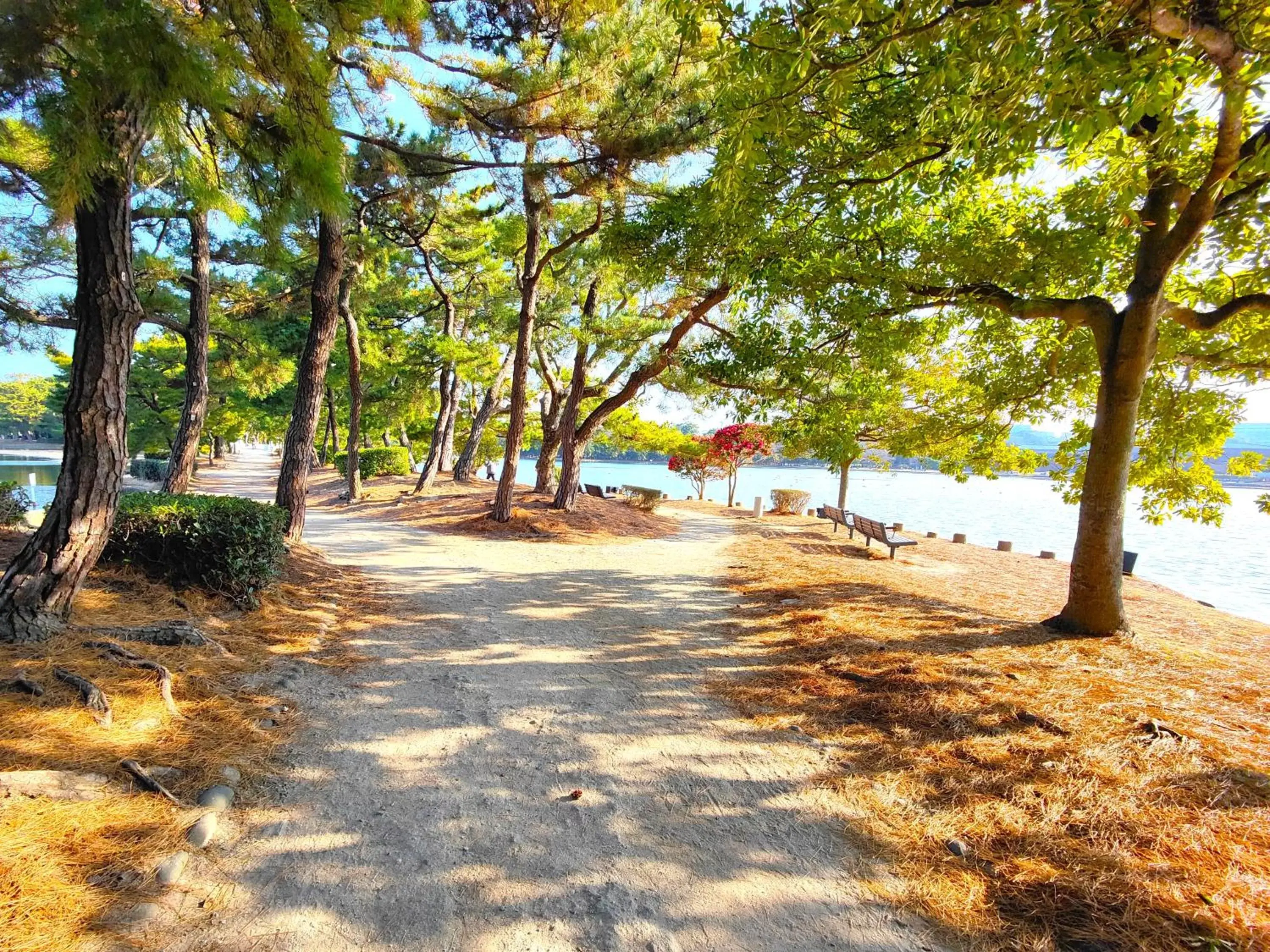 Natural landscape, Garden in Heiwadai Hotel Otemon