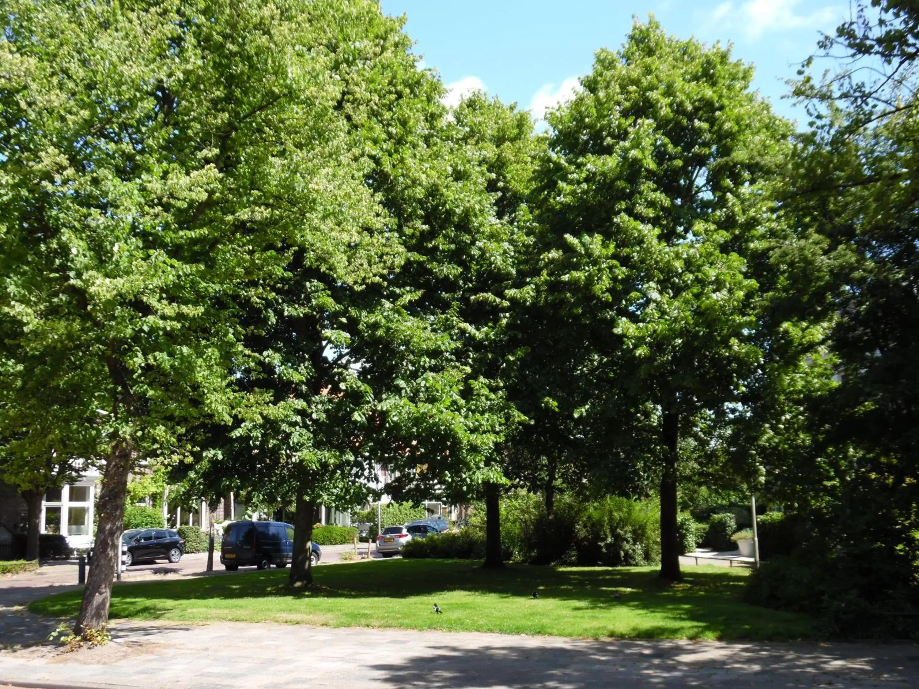 Neighbourhood, Garden in Hus