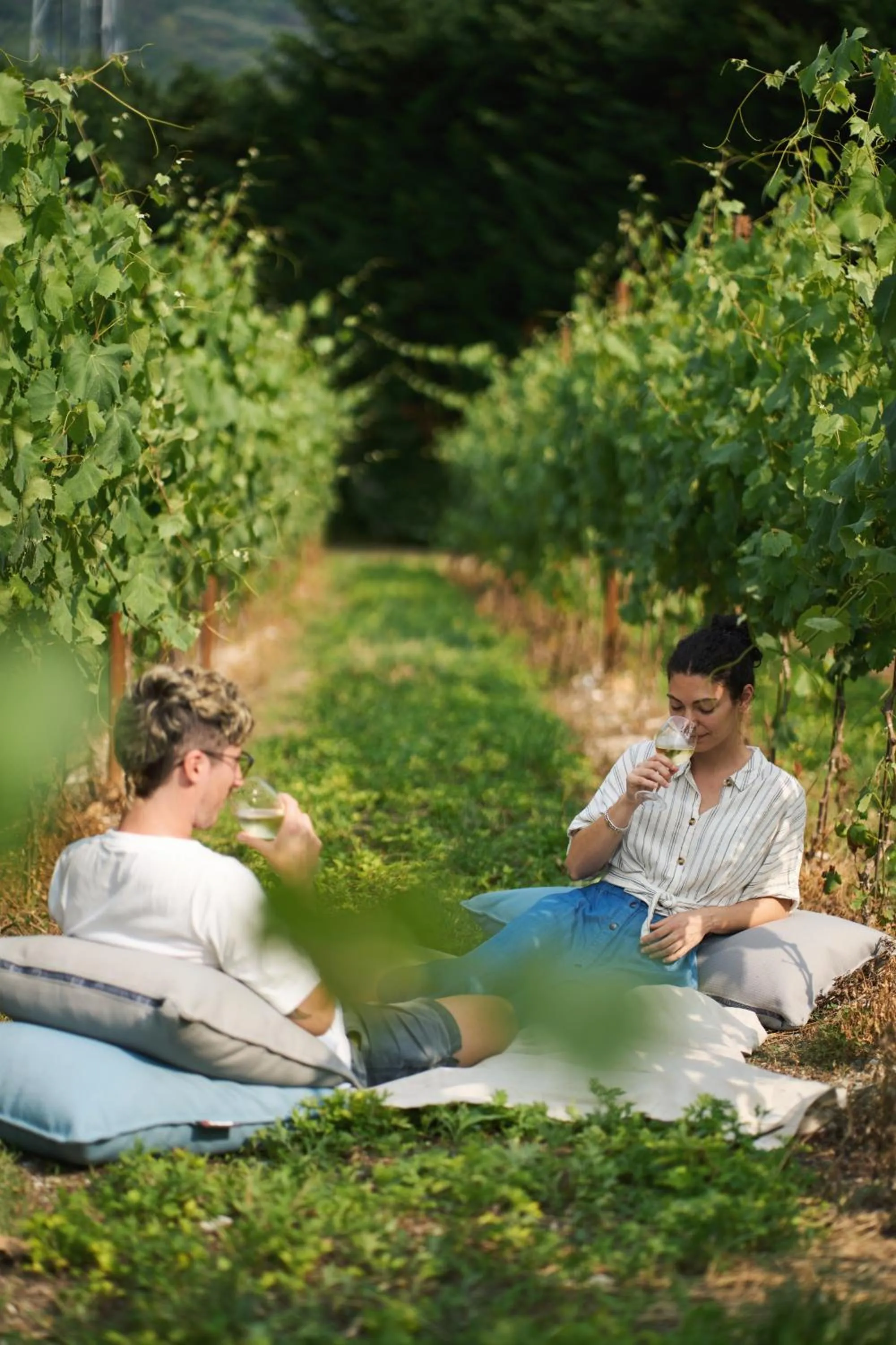 Garden in Hotel Al Maso