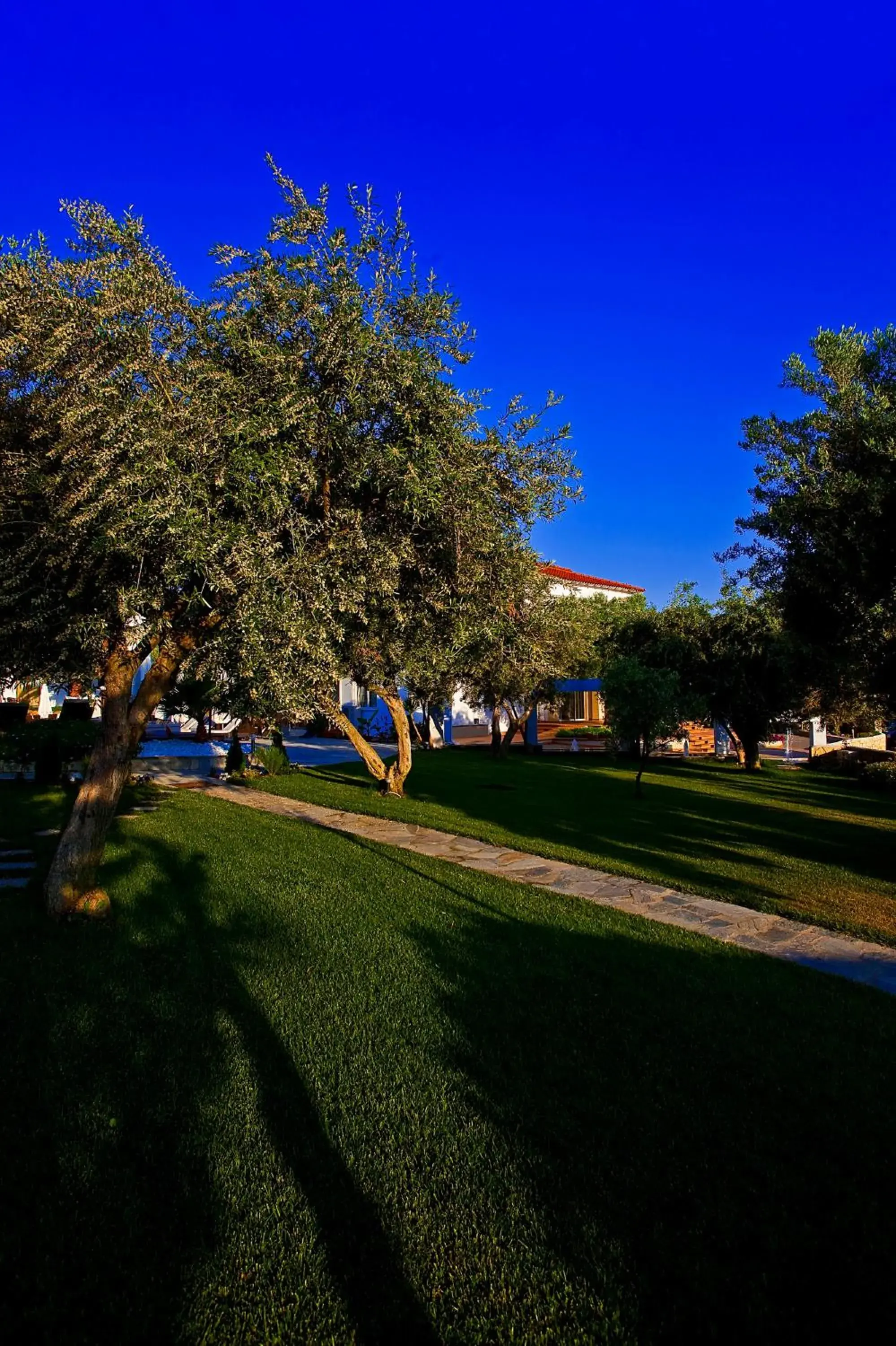 Garden in Flegra Palace