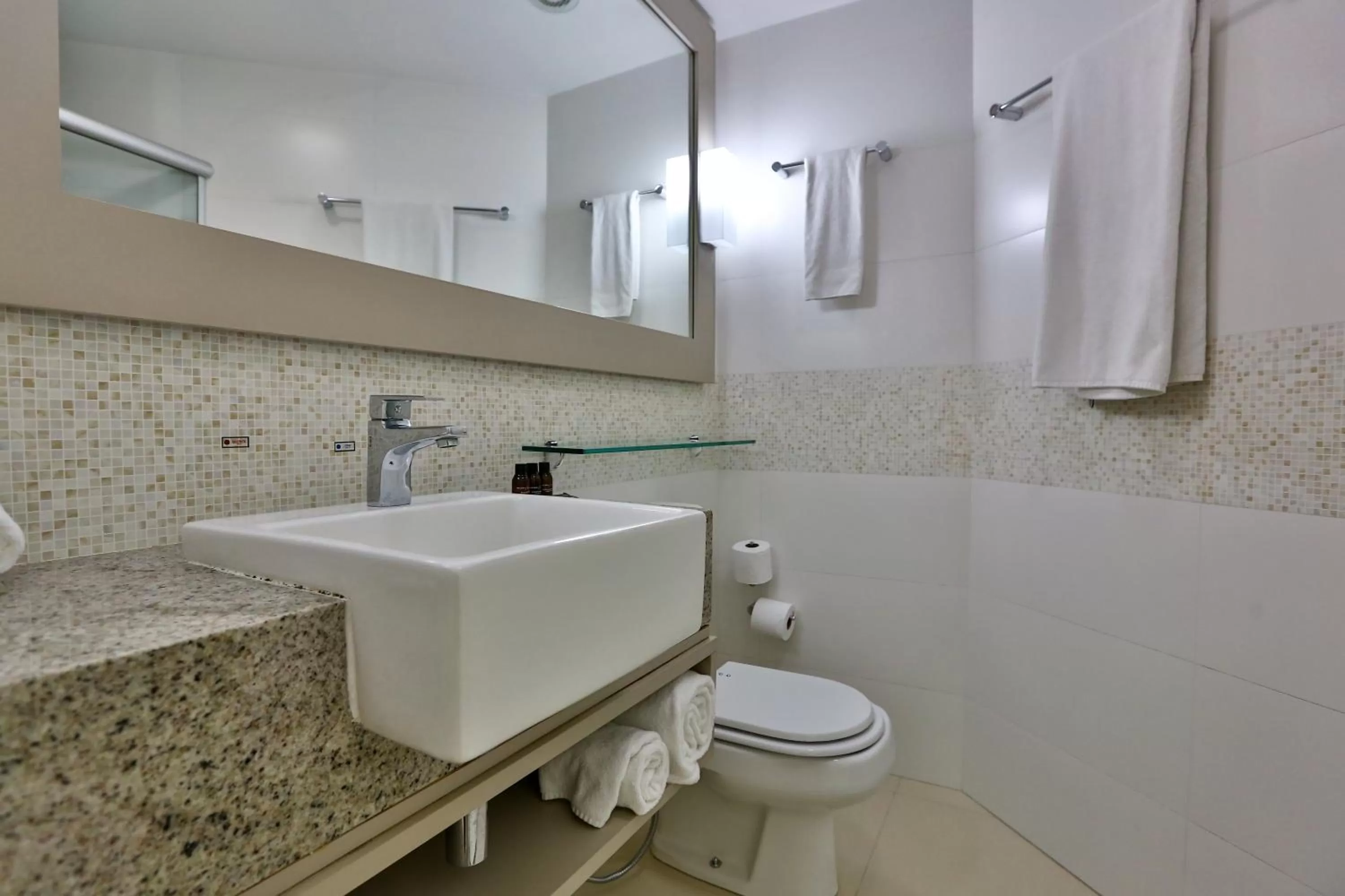 Toilet in Radisson Recife