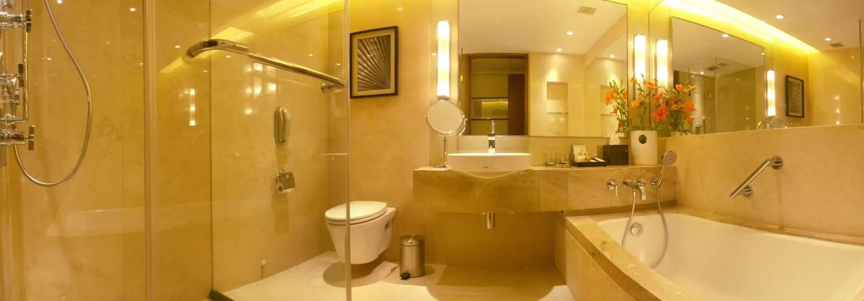 Bathroom in Taj Coromandel