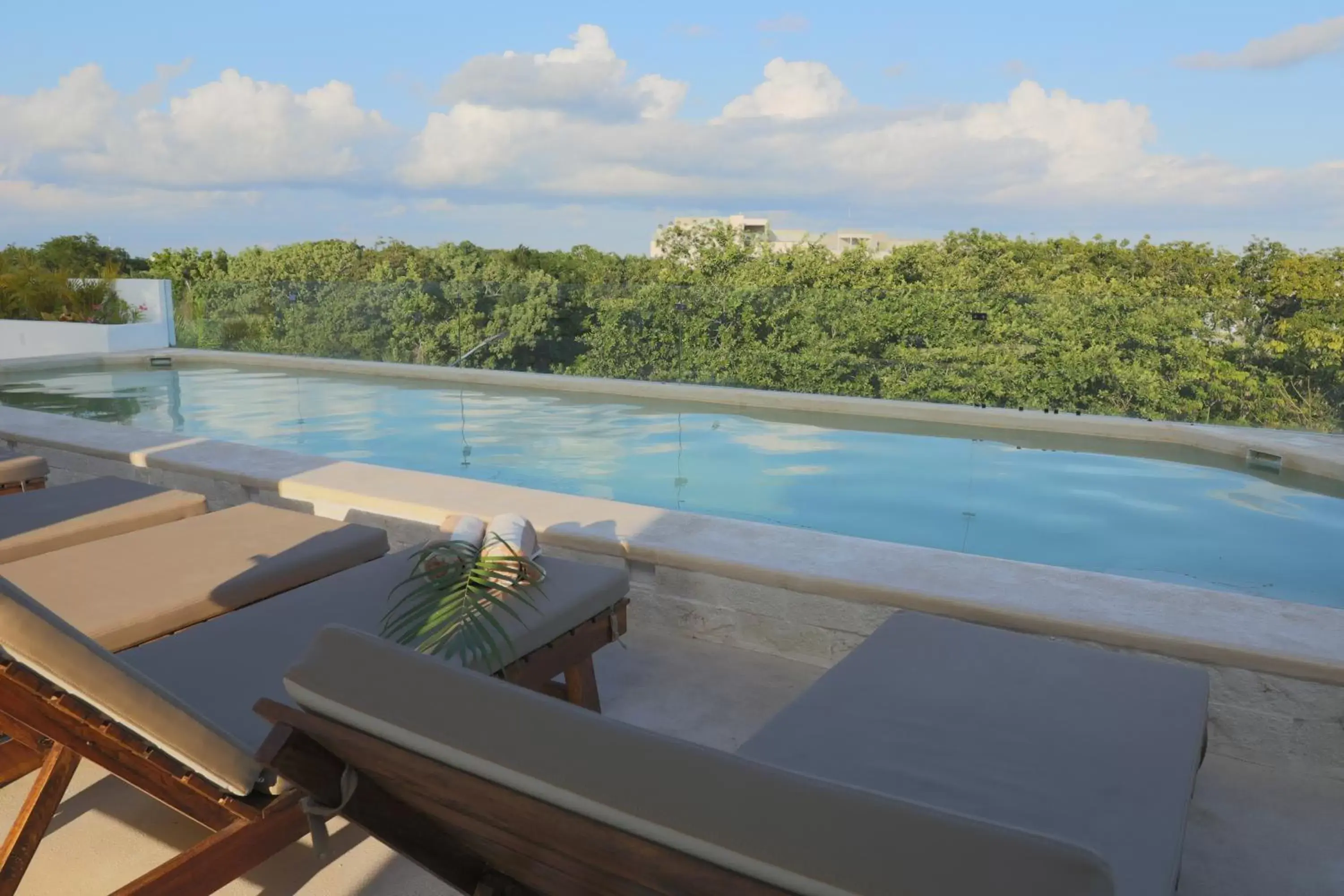 Swimming Pool in Hotel Blanco Tulum