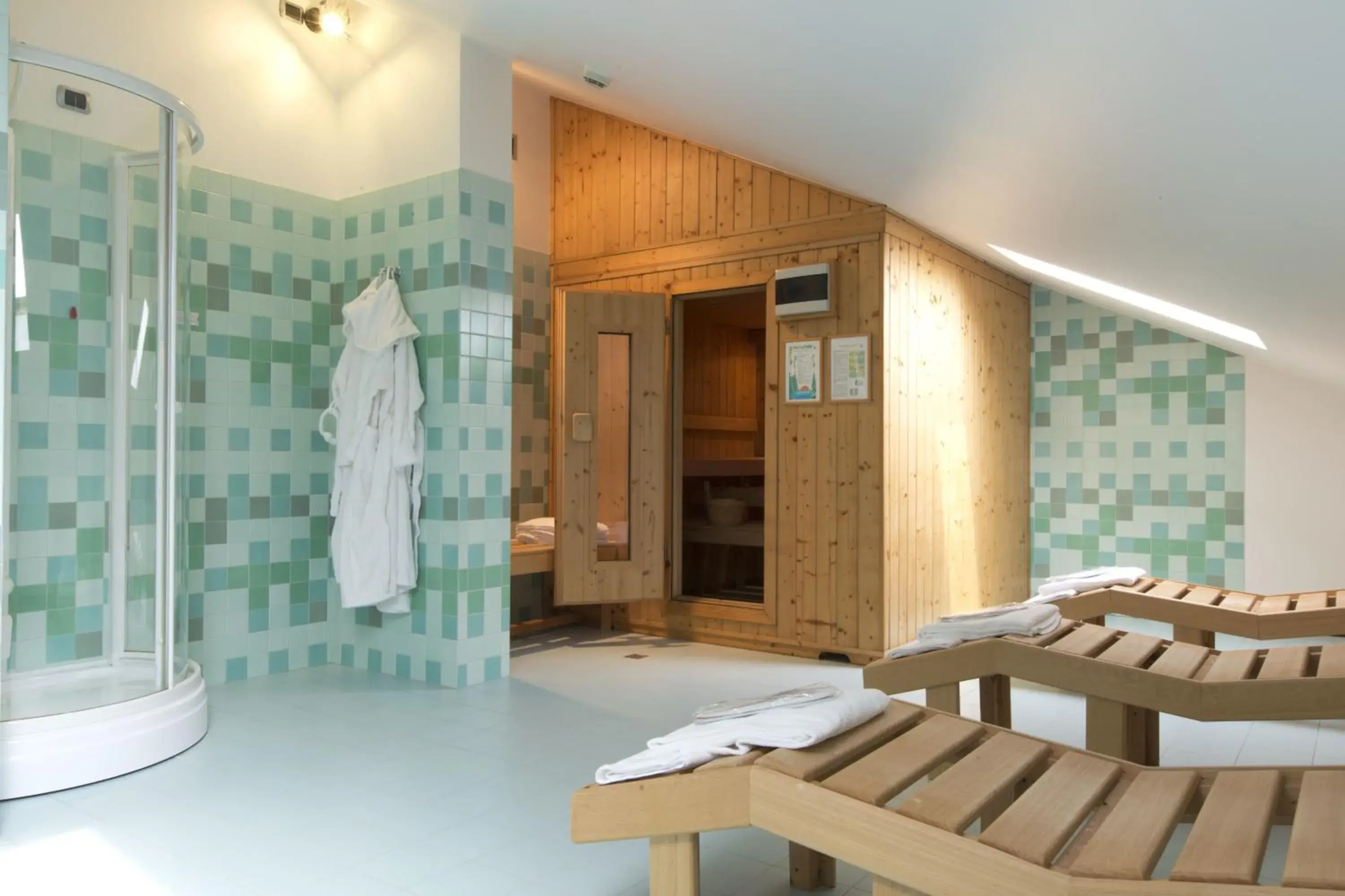 Sauna in Palace Hotel Moderno