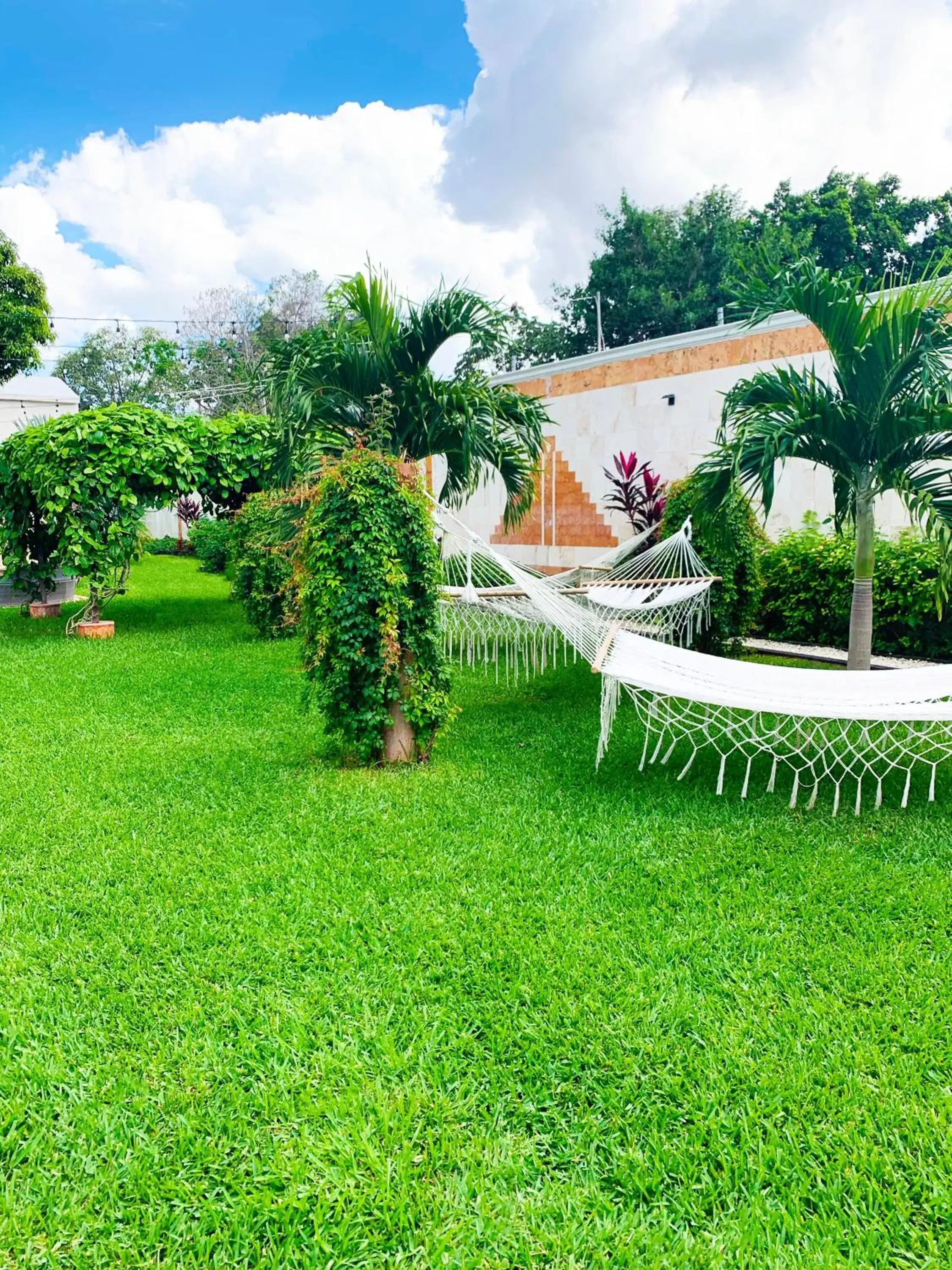 Garden in Hotel Palacio Maya