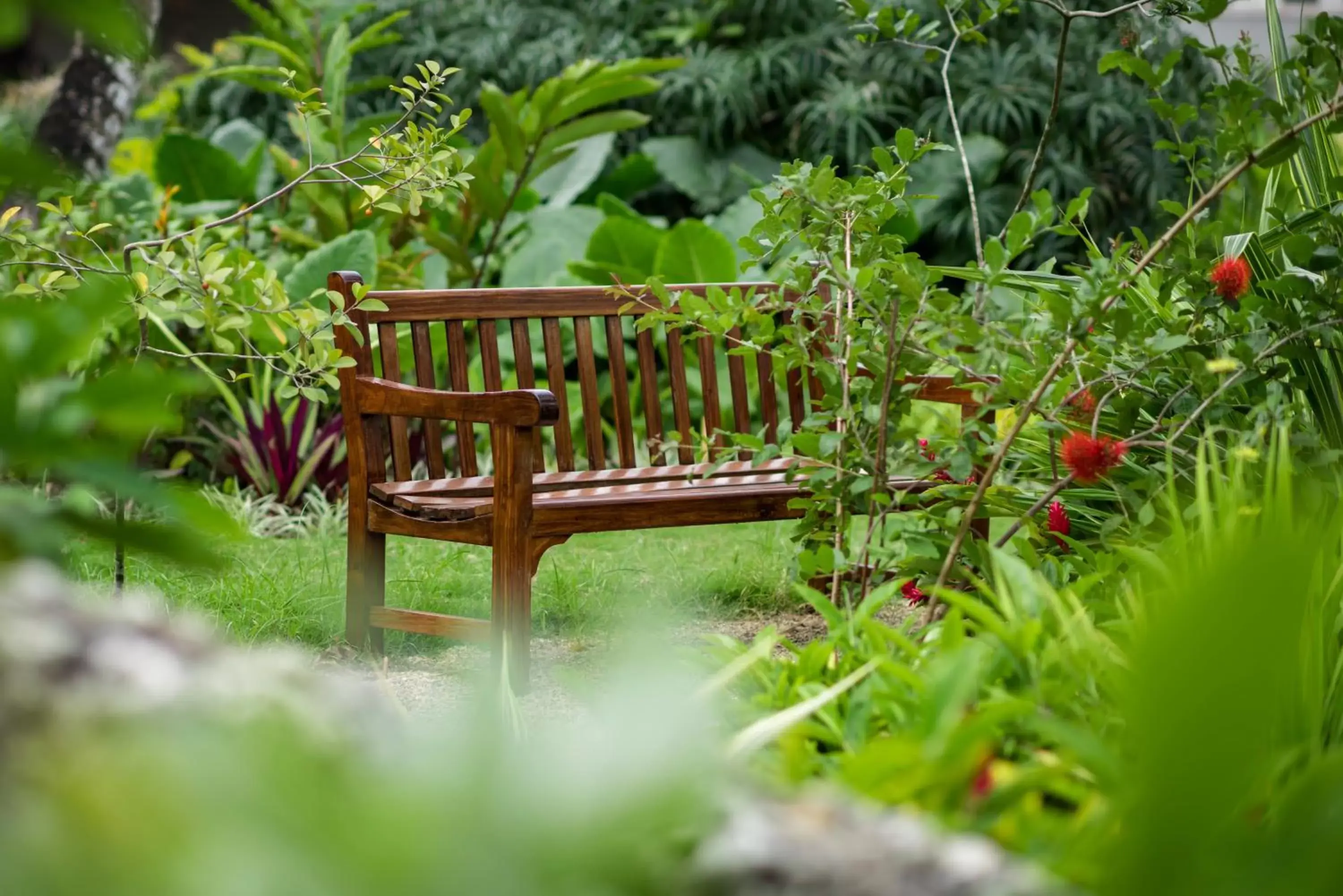 Garden in Hotel Verde Zanzibar - Azam Luxury Resort and Spa