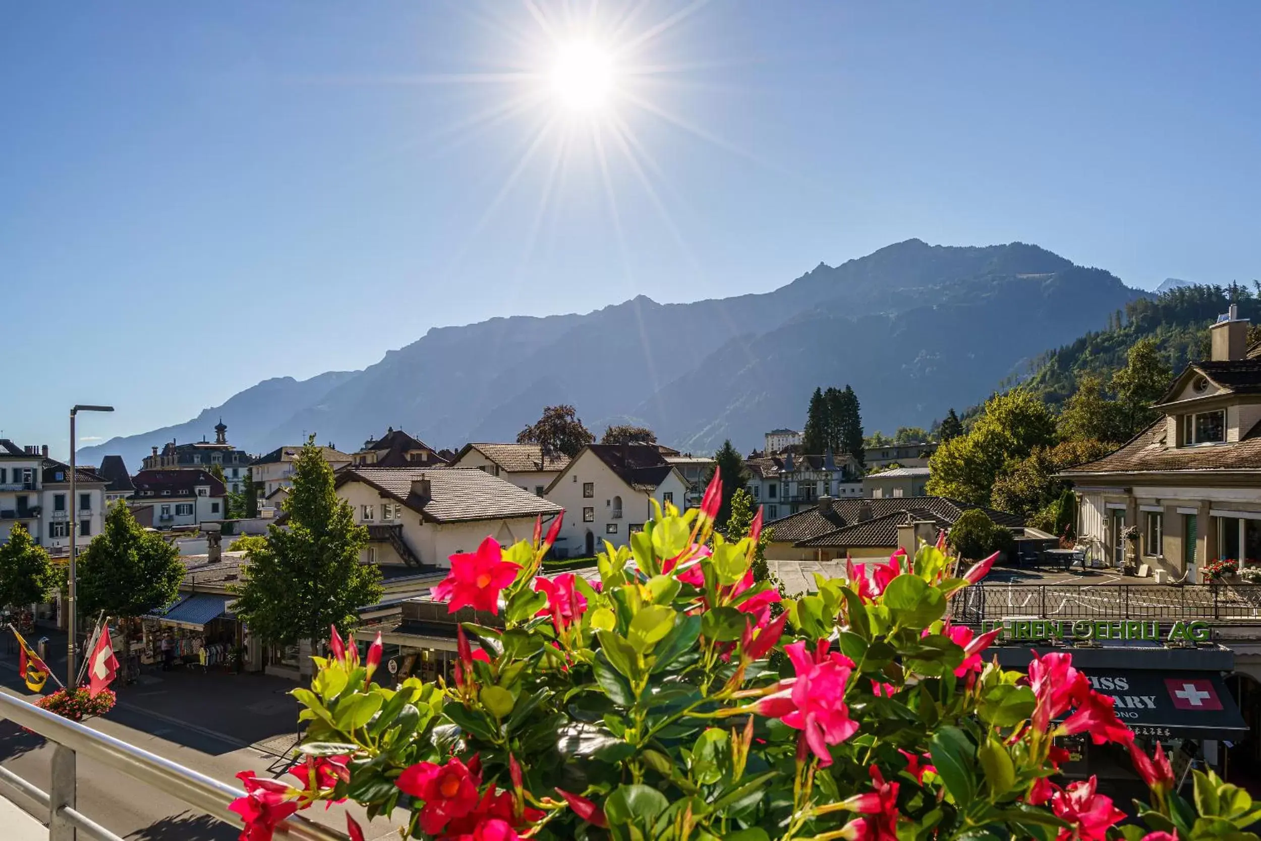 Mountain view in Hotel Bernerhof Mountain view in Hotel Bernerhof