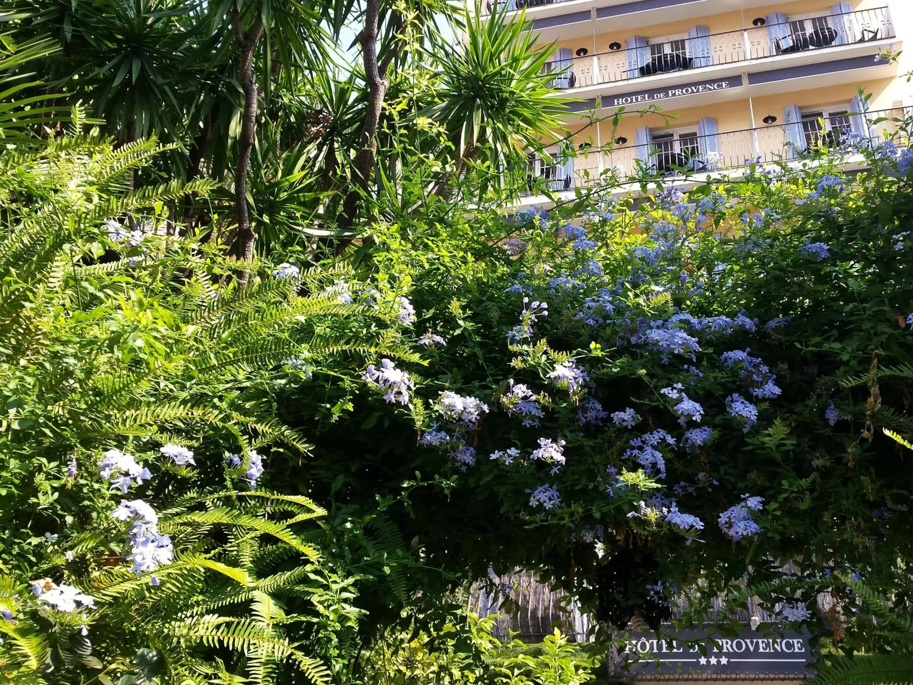 Garden in Hôtel de Provence