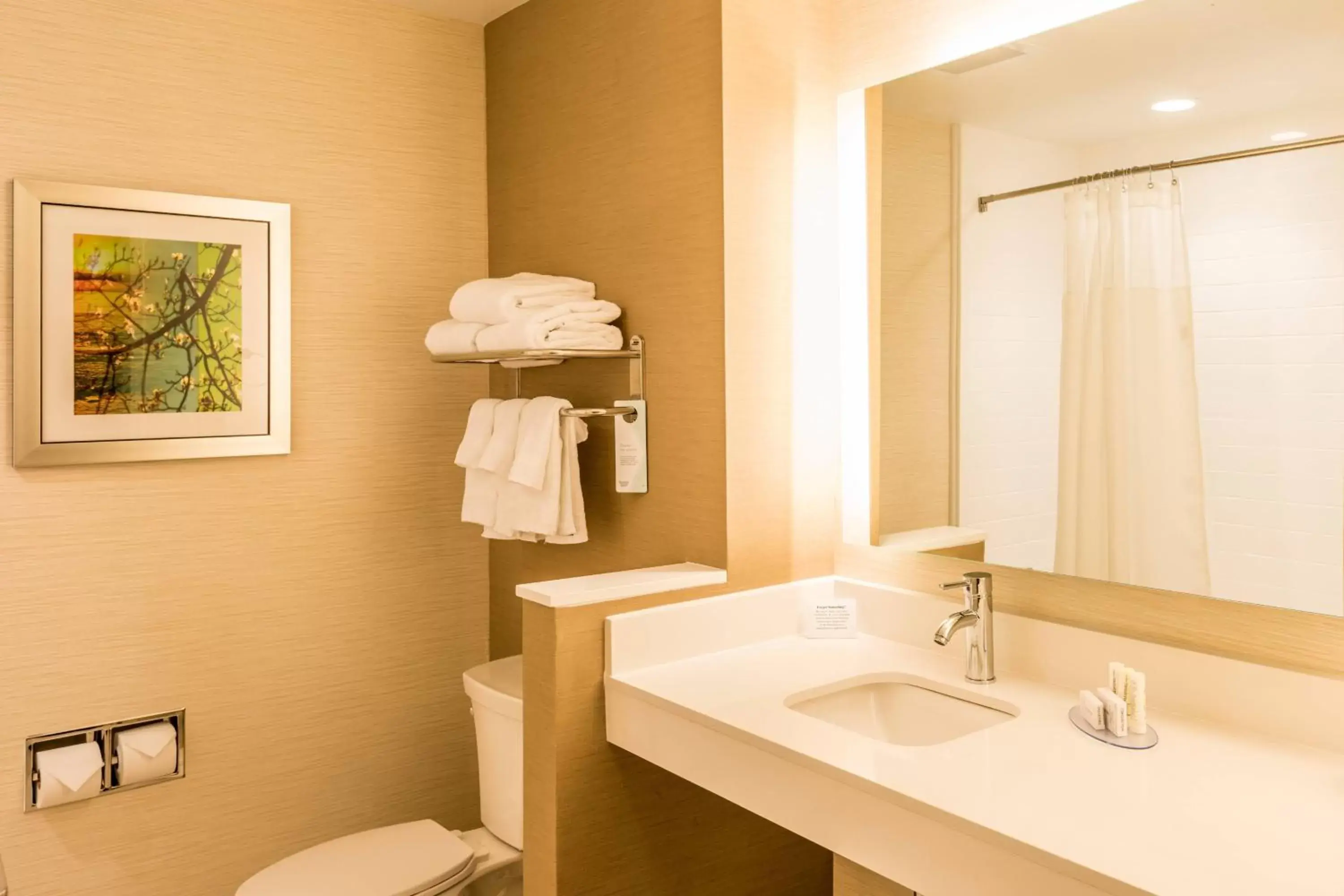 Photo of the whole room, Bathroom in Fairfield Inn & Suites by Marriott Atlanta Fairburn