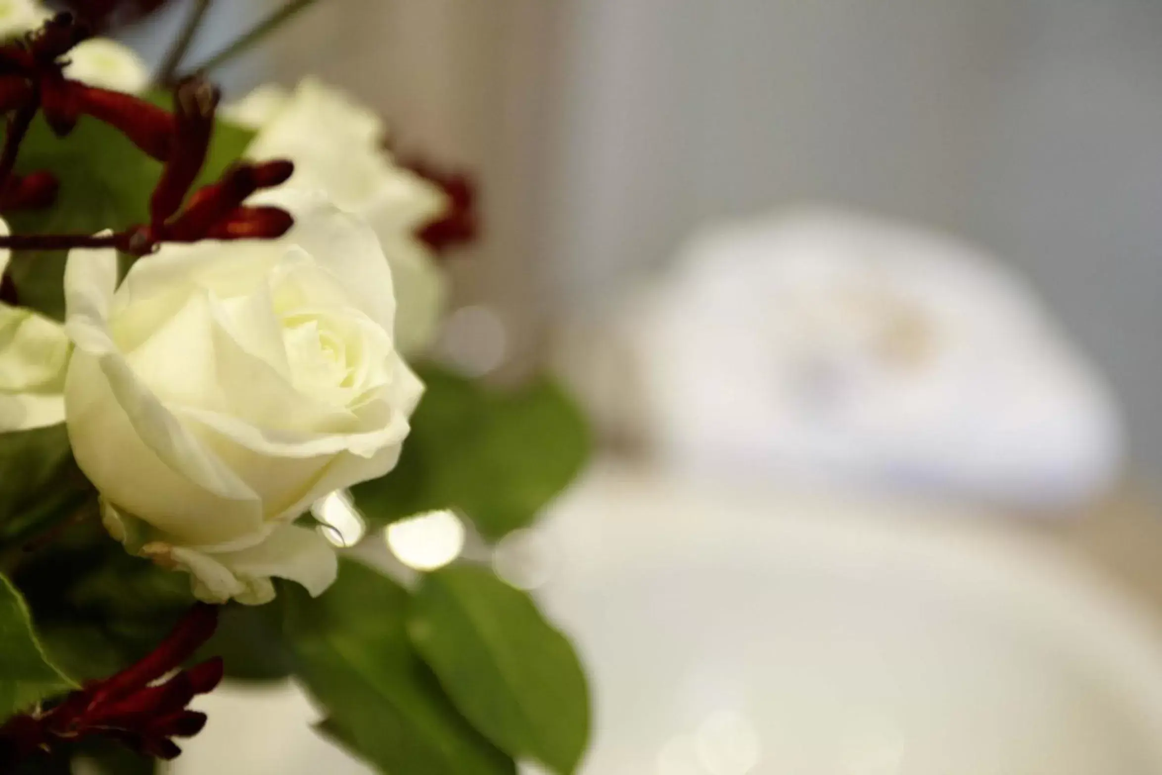 Decorative detail, Bathroom in Hotel Düsseldorf City by Tulip Inn