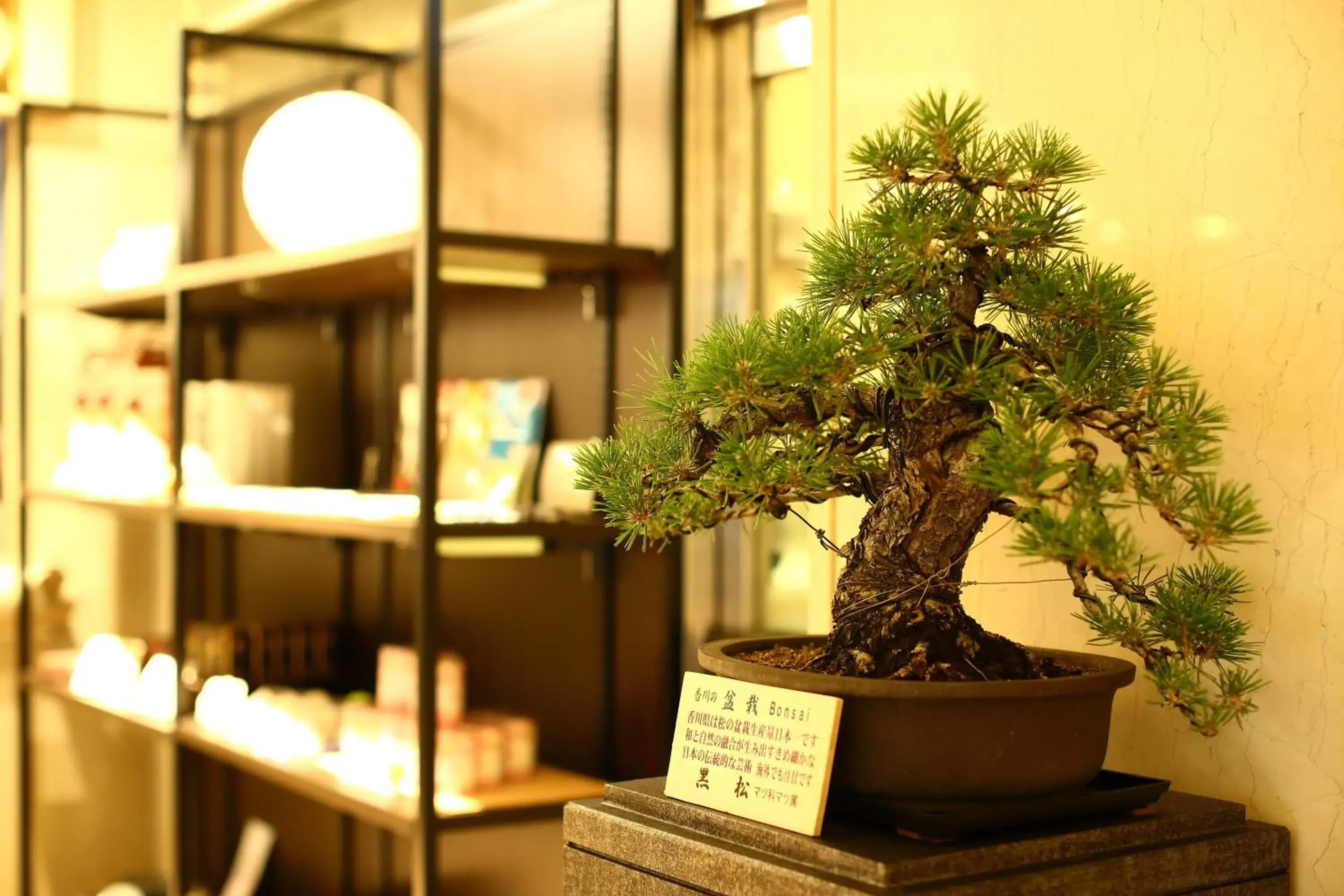 Decorative detail in Takamatsu Tokyu Rei Hotel