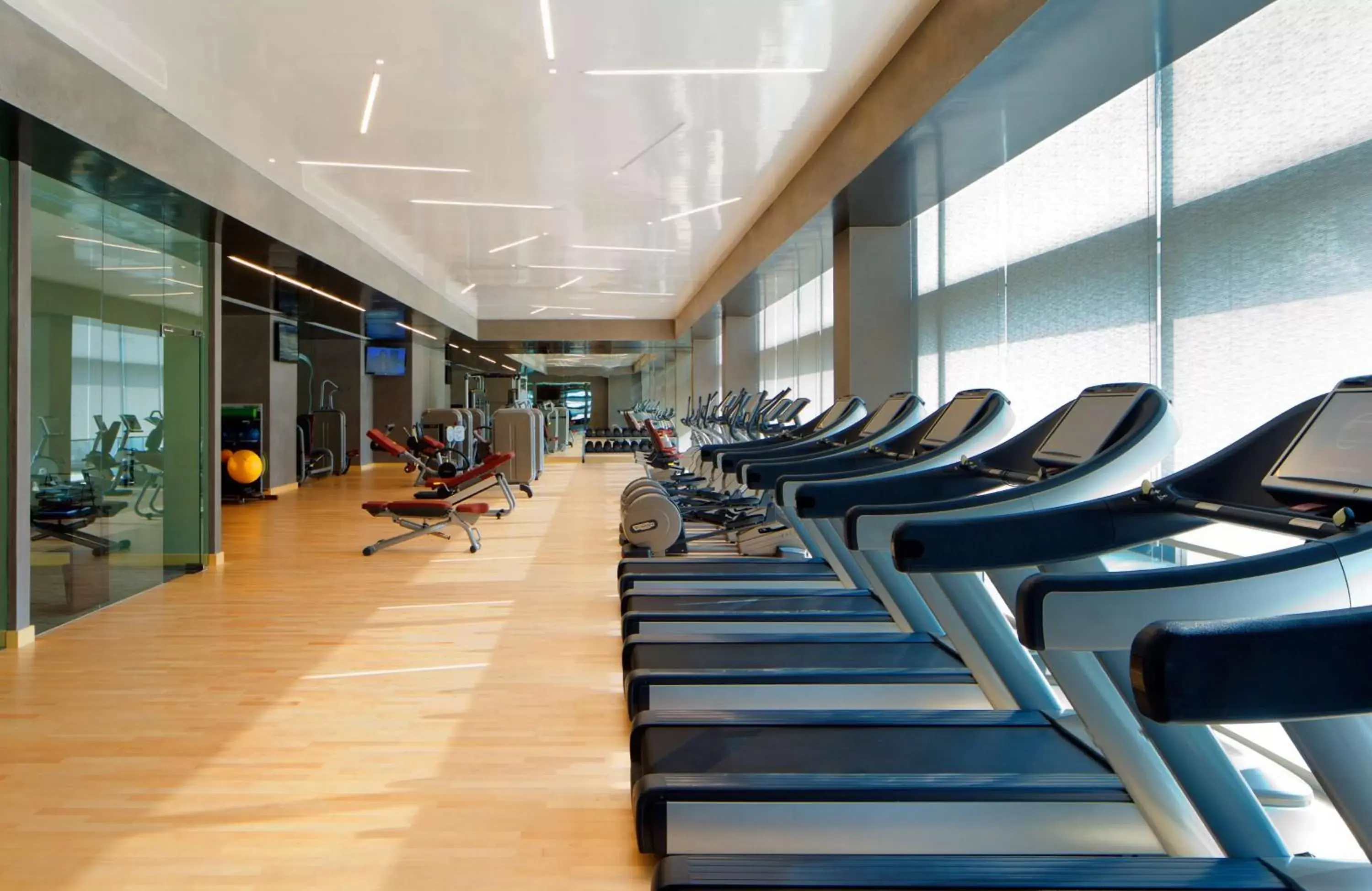 Fitness centre/facilities, Fitness Center/Facilities in Conrad Dubai