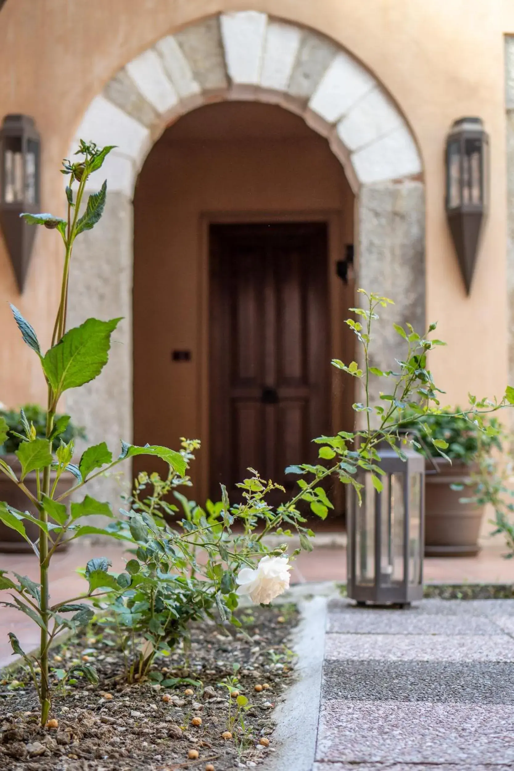 Garden in Imaret Hotel