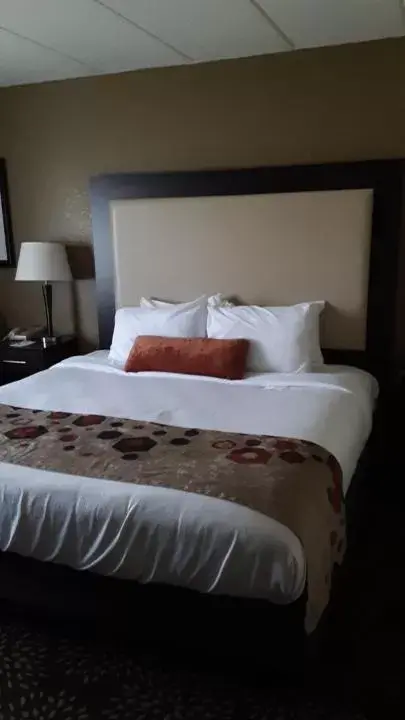 Guests, Bed in AmericInn by Wyndham Cedar Falls