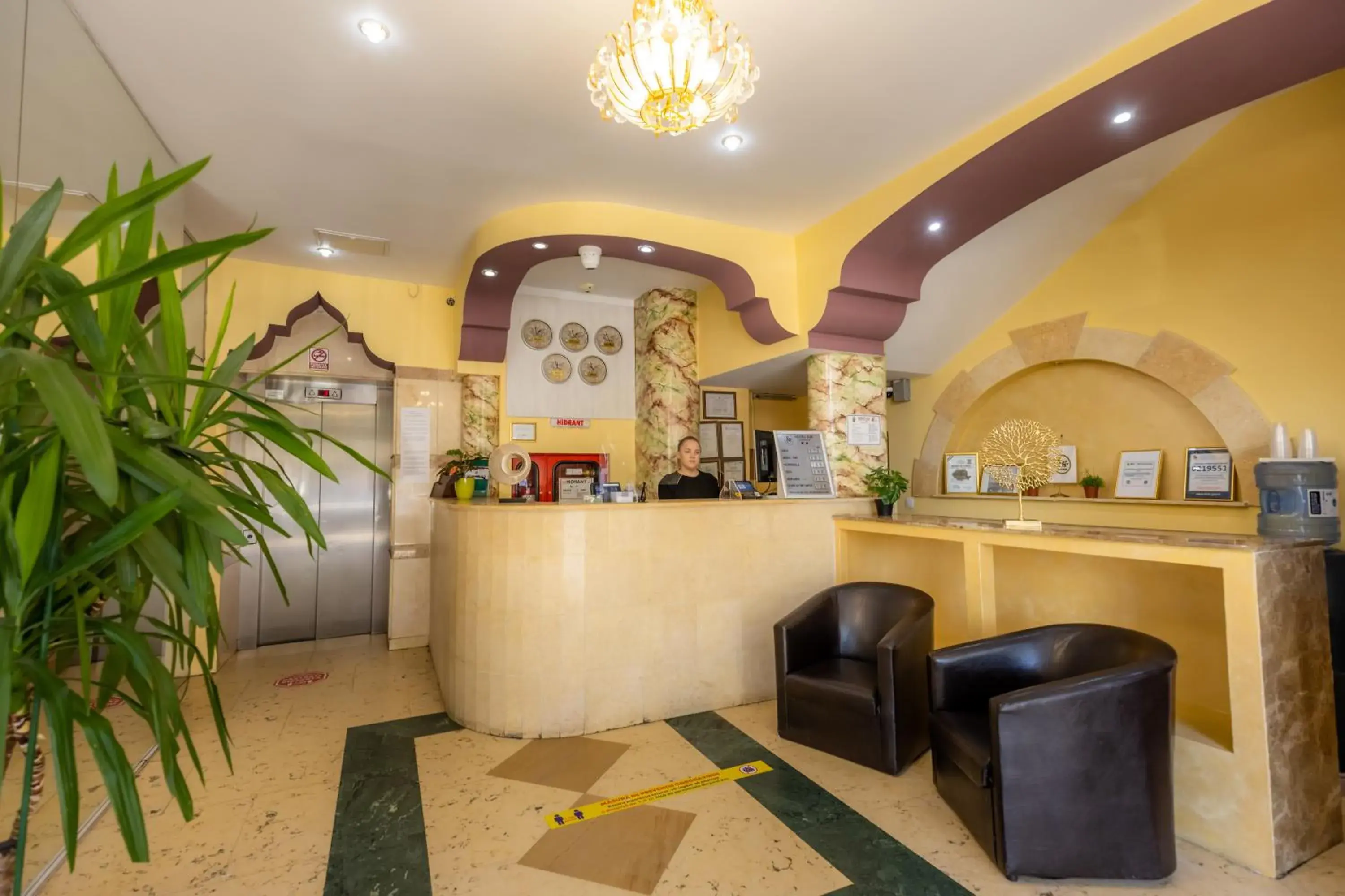 Lobby or reception, Lobby/Reception in Hotel Sir Lujerului