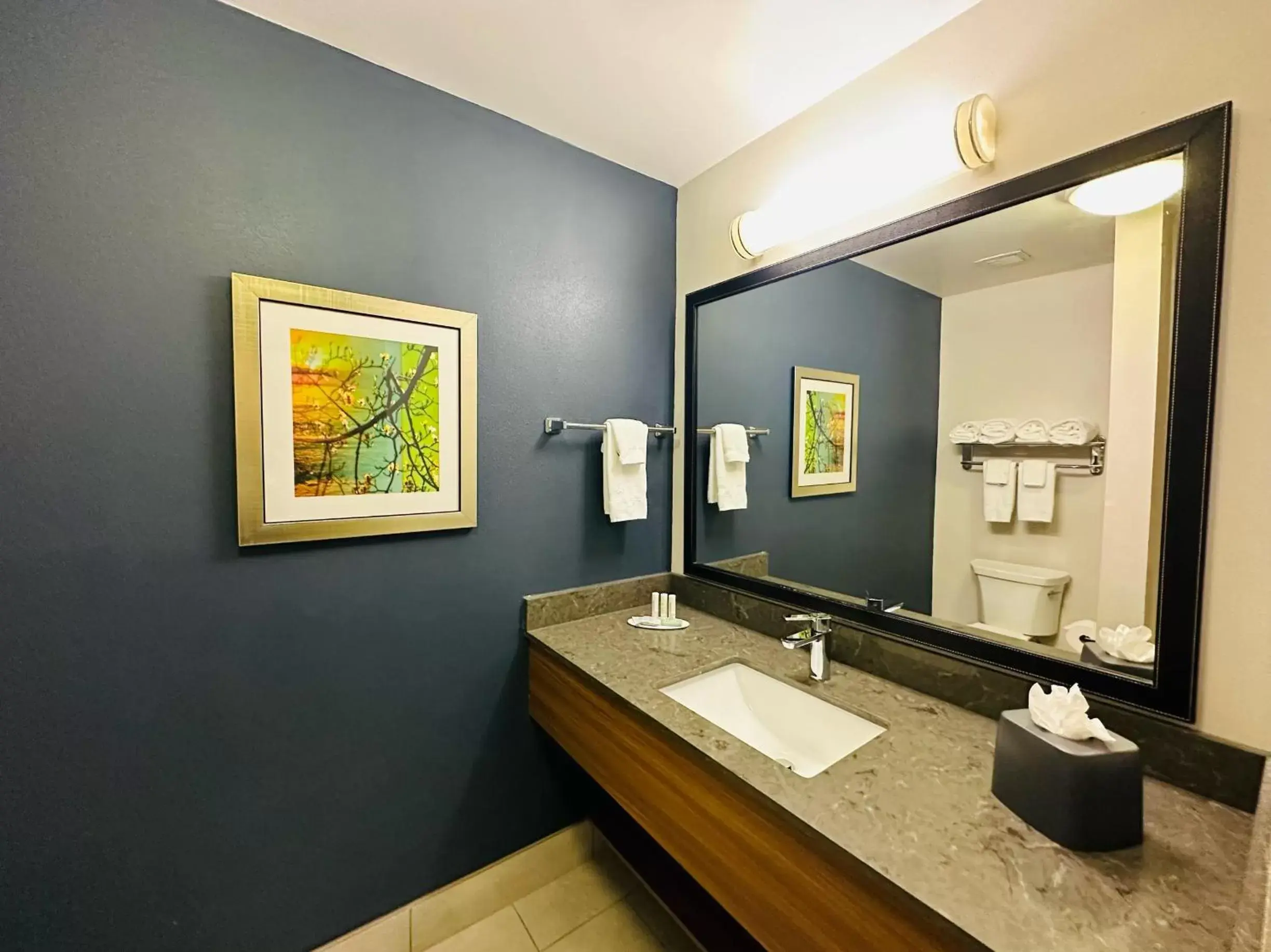 Bathroom in Fairfield Inn & Suites by Marriott Waco North