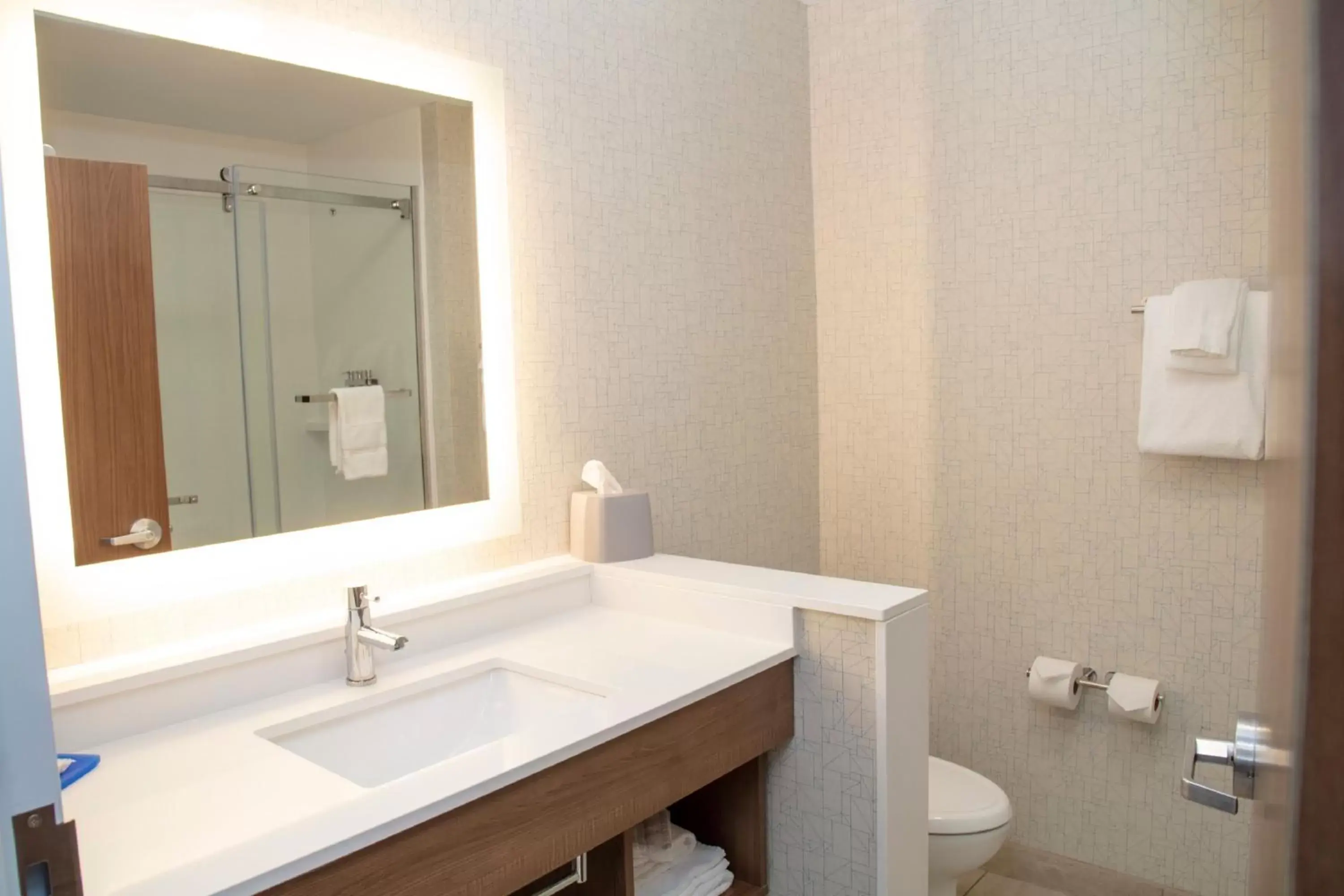 Bathroom in Holiday Inn Express & Suites - Marion, an IHG Hotel