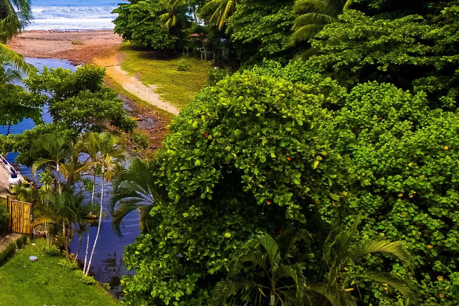 Garden in Costa Rica Surf Camp by SUPERbrand